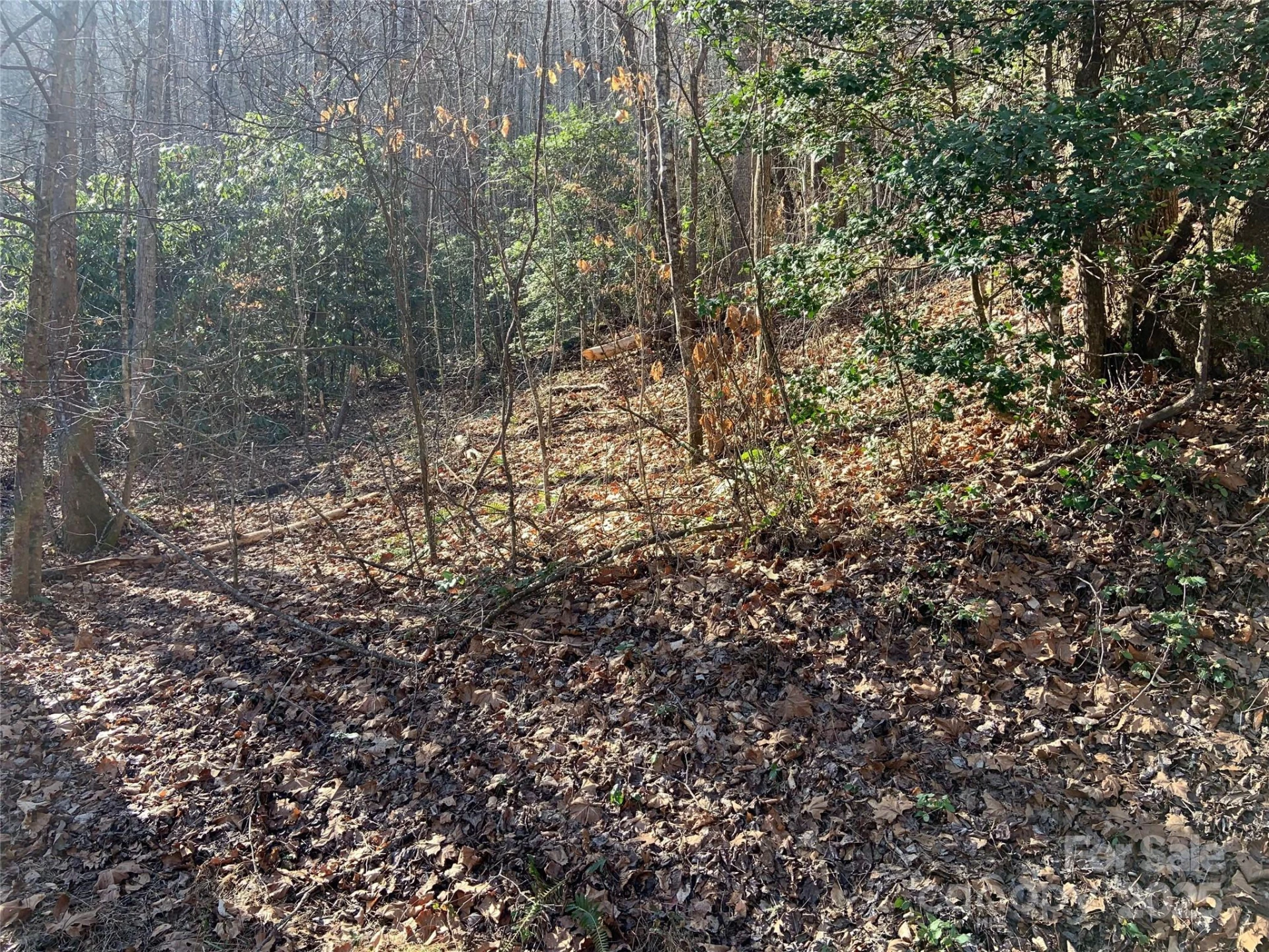 TR 6 Little Bit Trail - Photo 2