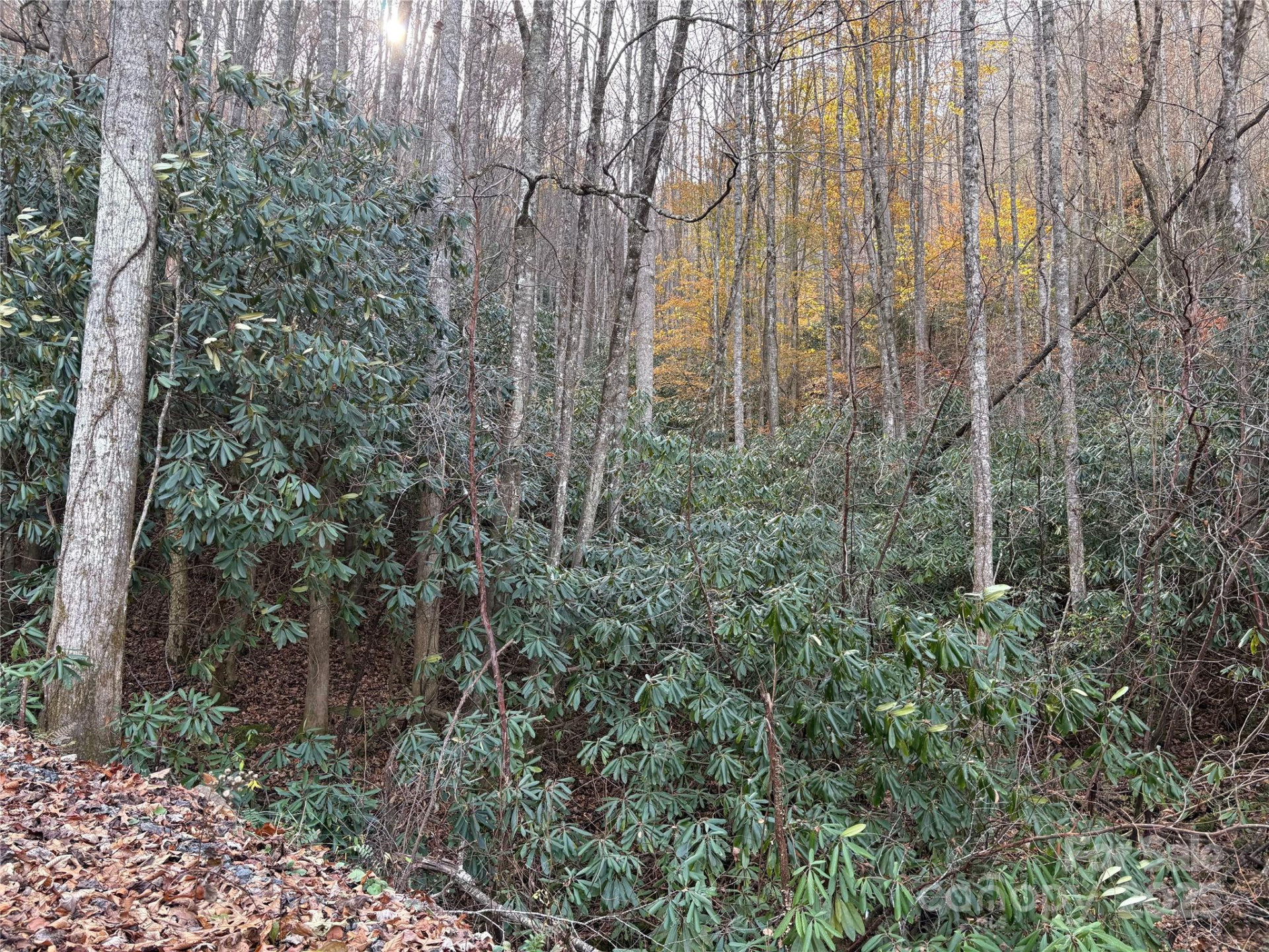 TR 6 Little Bit Trail - Photo 11