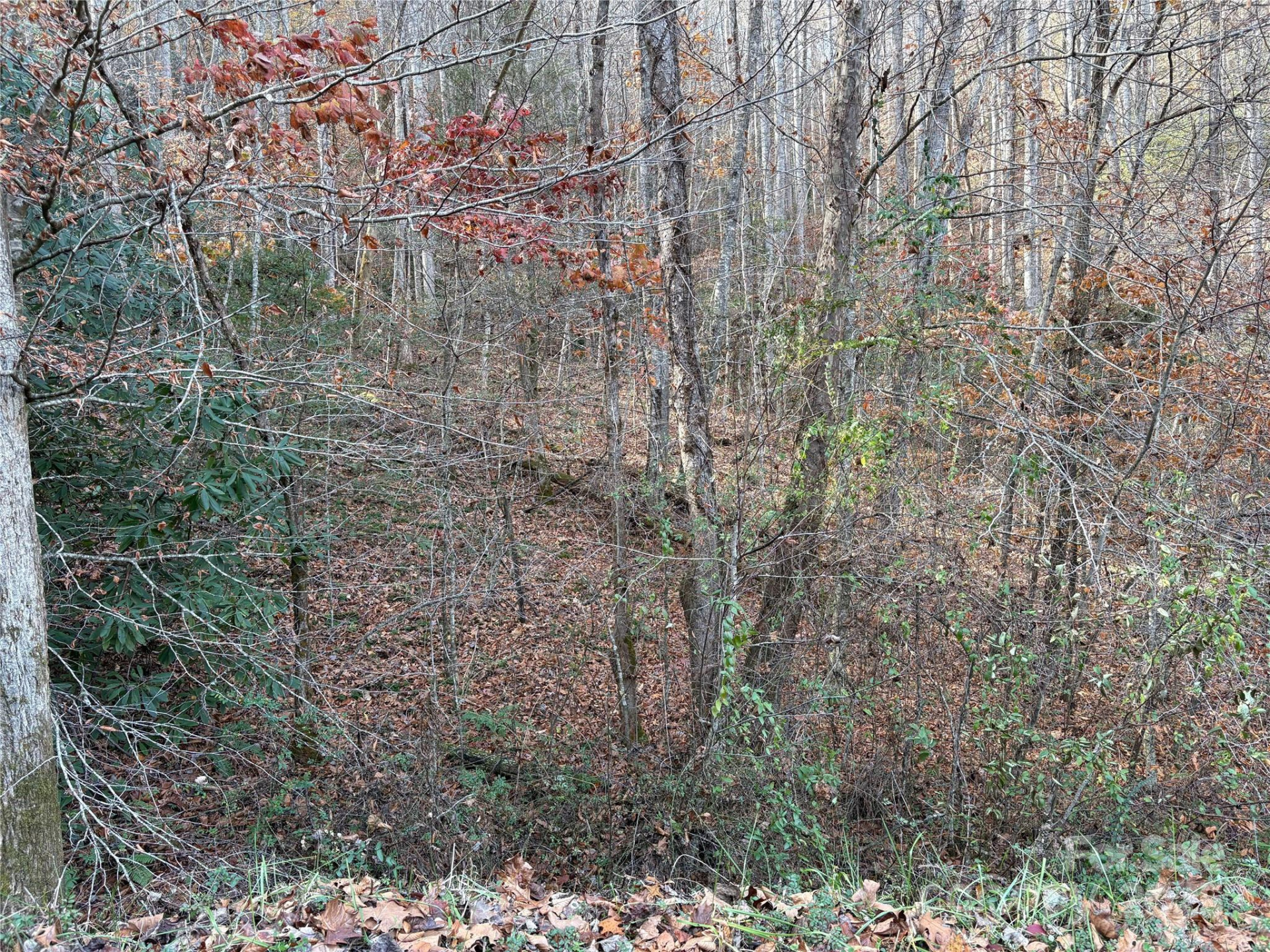 TR 6 Little Bit Trail - Photo 12