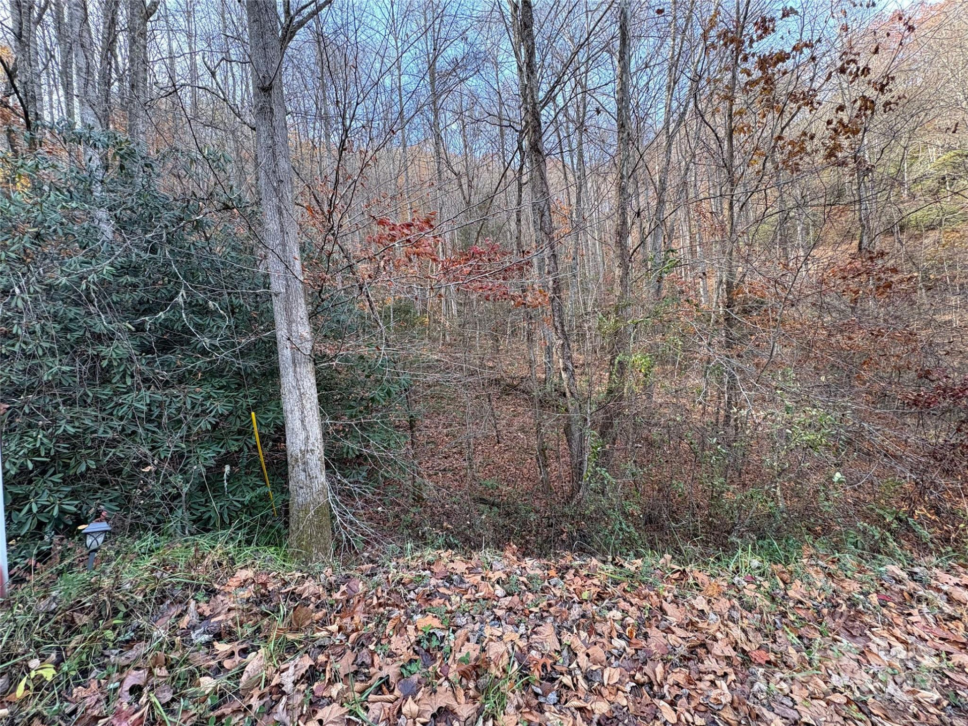 TR 6 Little Bit Trail - Photo 13