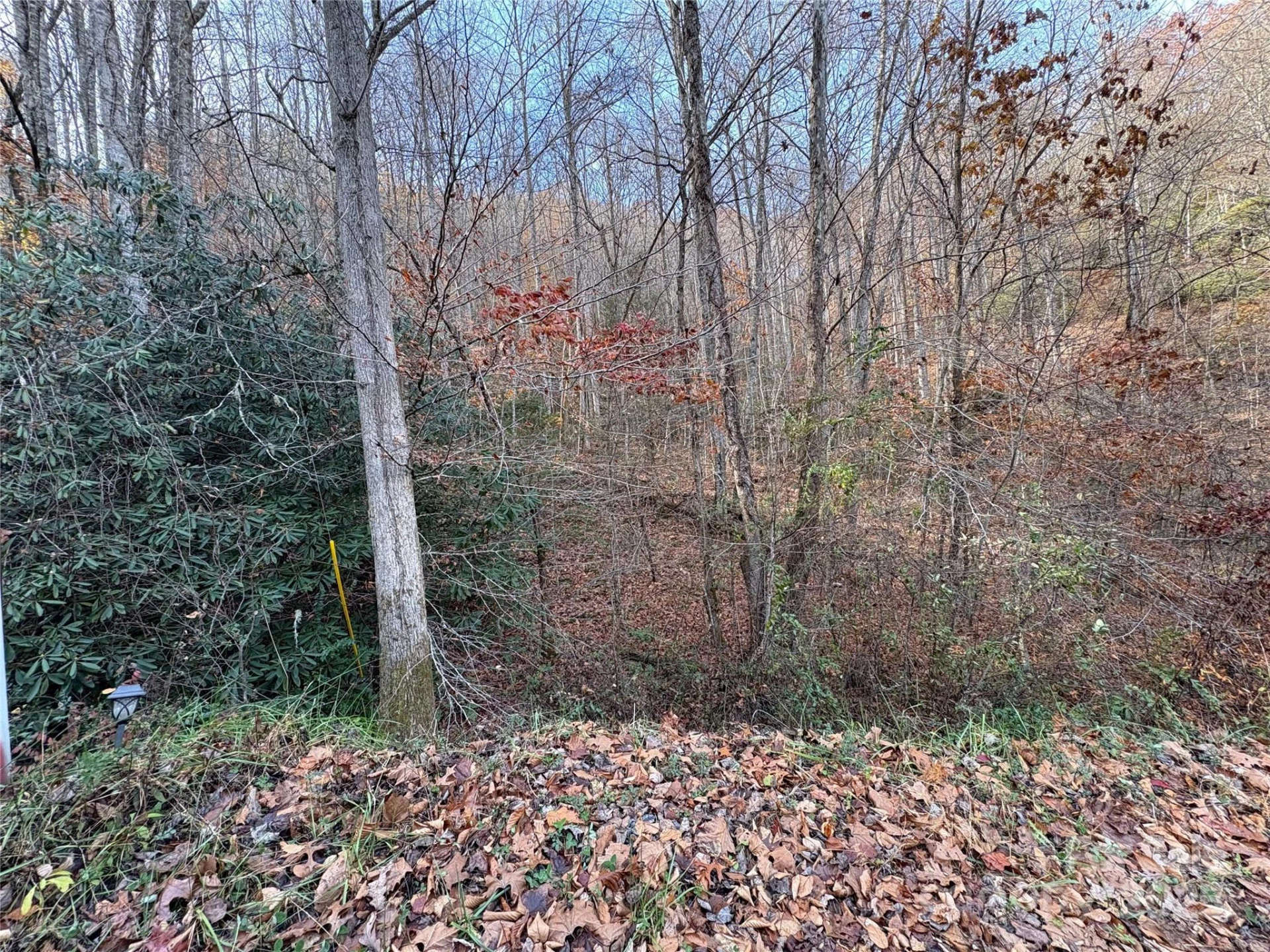 TR 6 Little Bit Trail - Photo 13