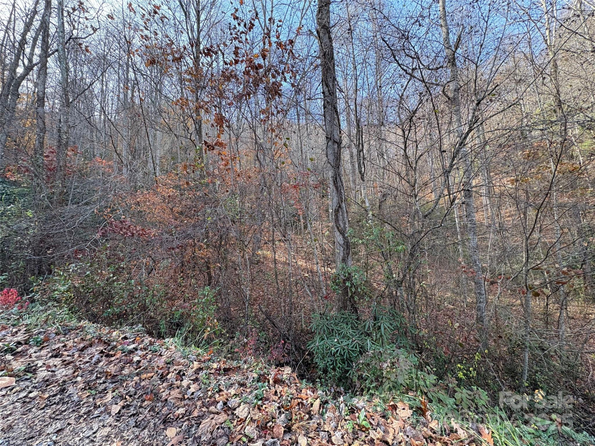 TR 6 Little Bit Trail - Photo 14