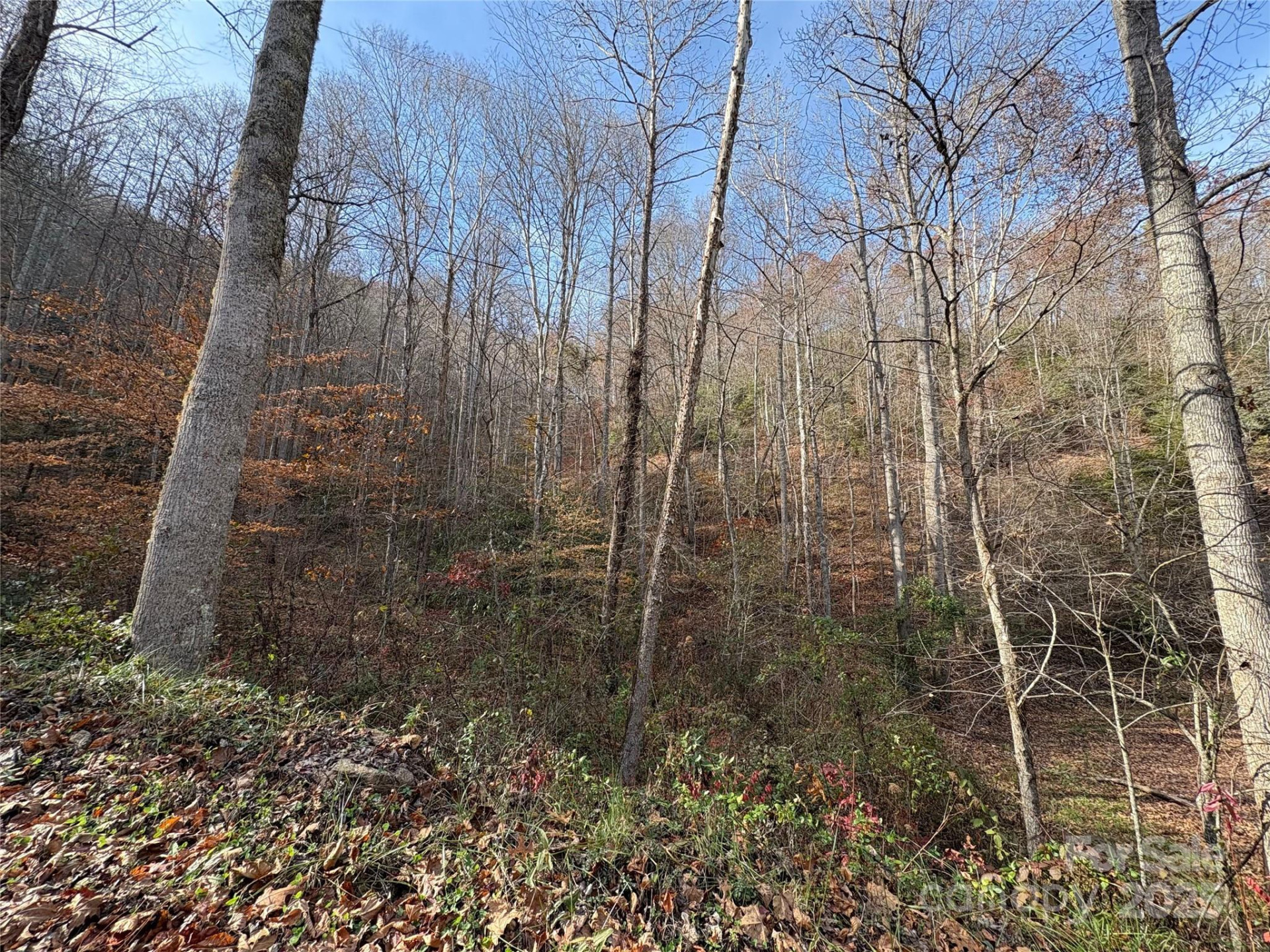 TR 6 Little Bit Trail - Photo 15