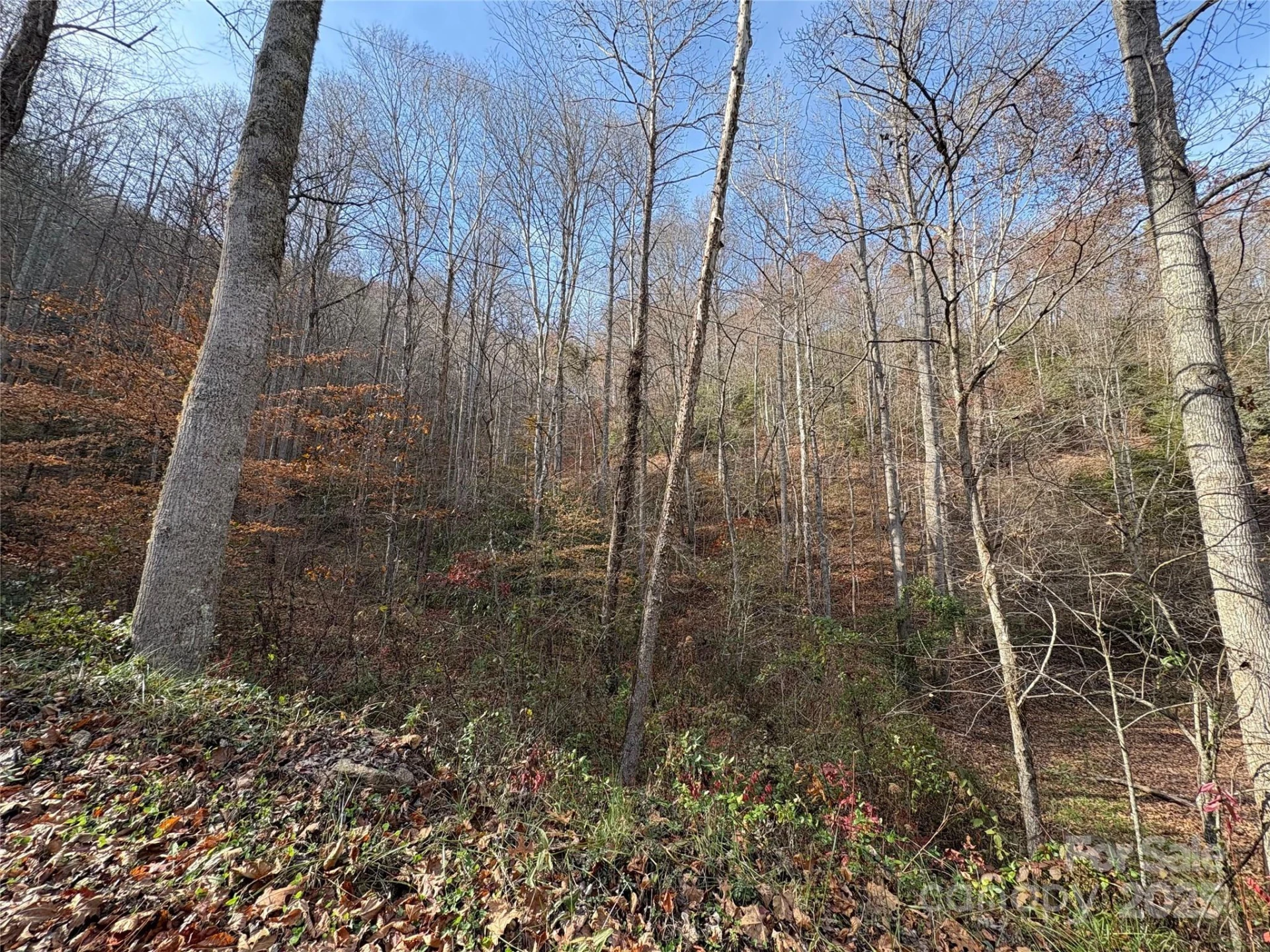 TR 6 Little Bit Trail - Photo 15