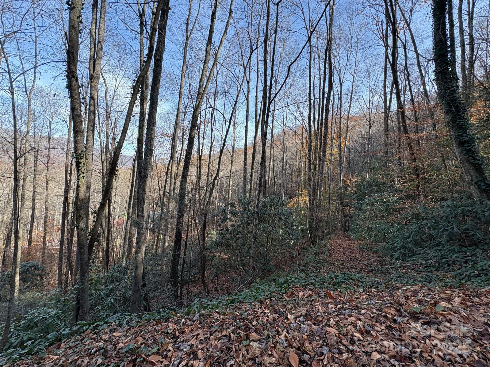 TR 6 Little Bit Trail - Photo 16