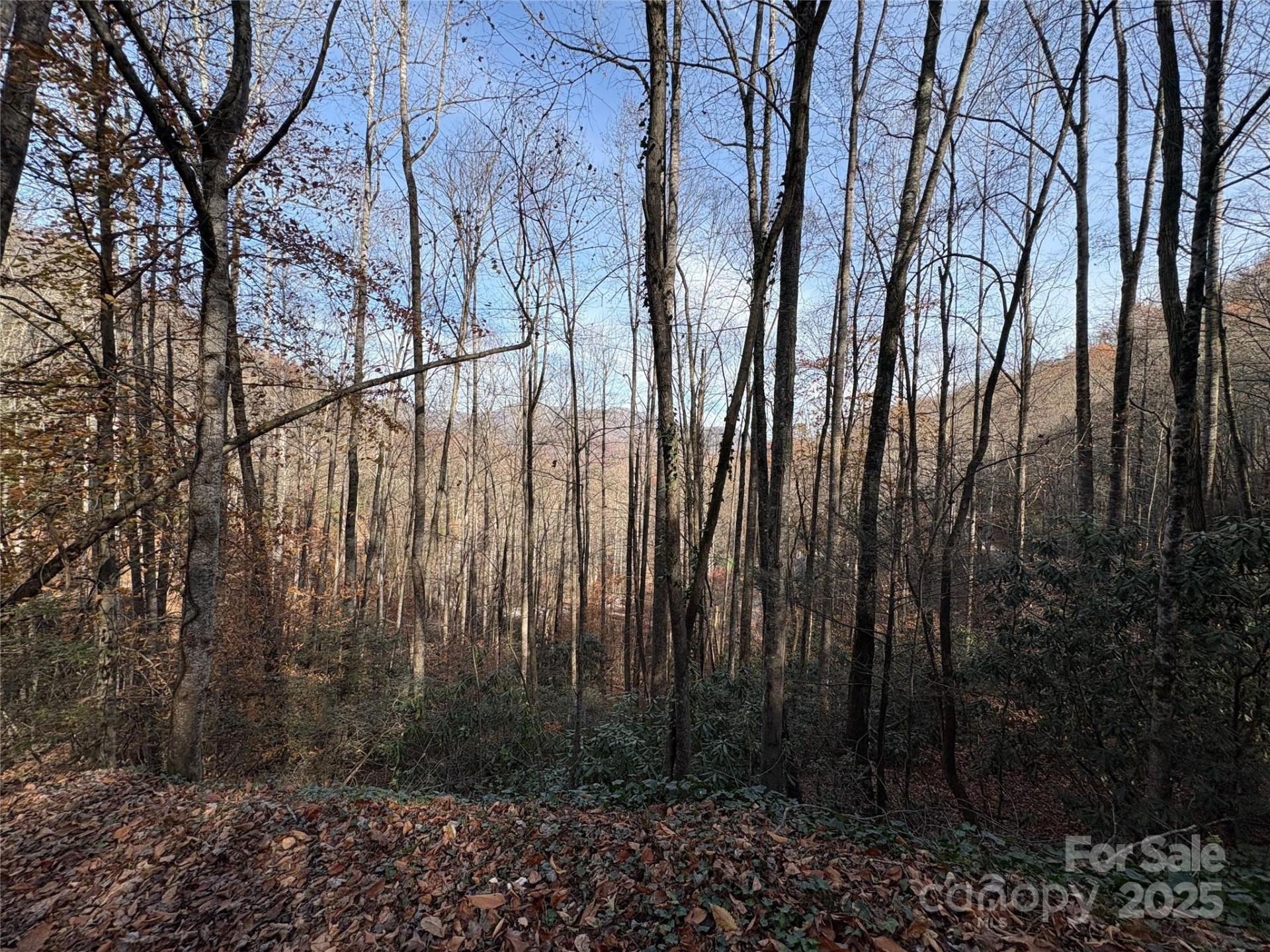 TR 6 Little Bit Trail - Photo 17