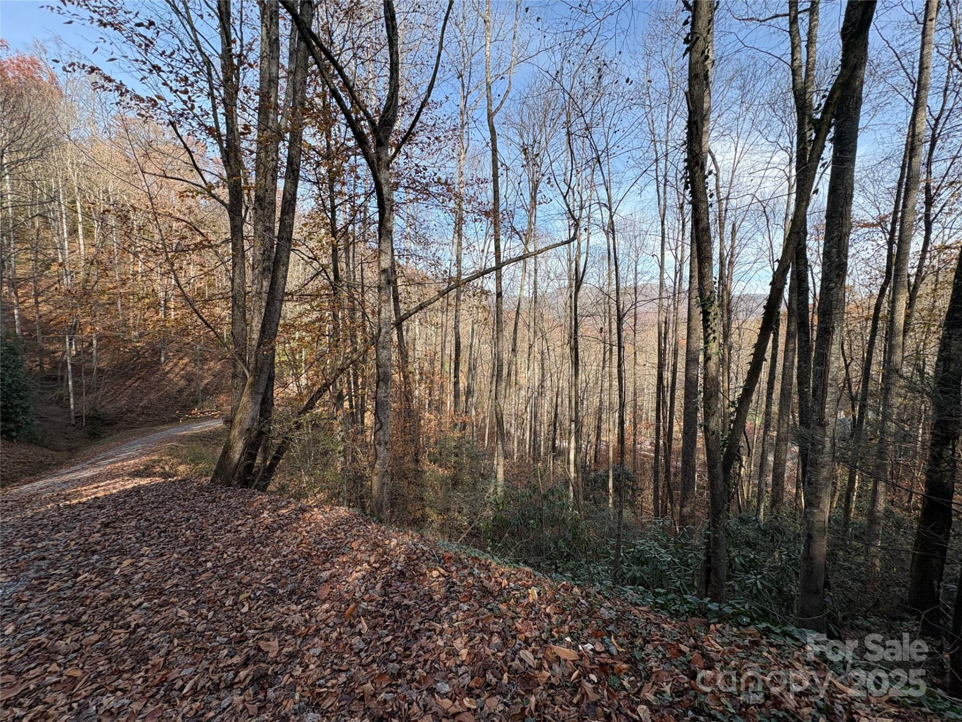 TR 6 Little Bit Trail - Photo 18