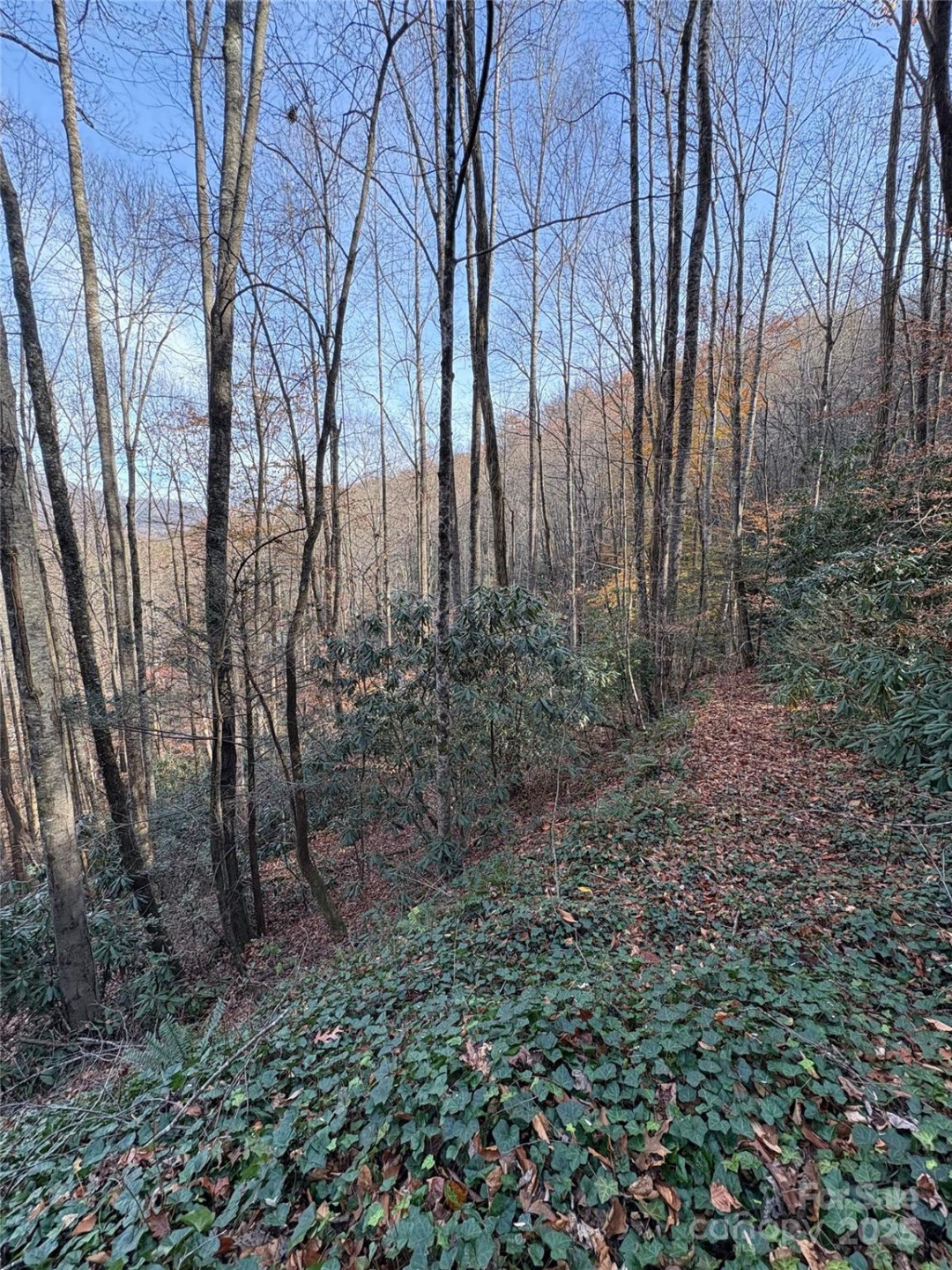 TR 6 Little Bit Trail - Photo 19