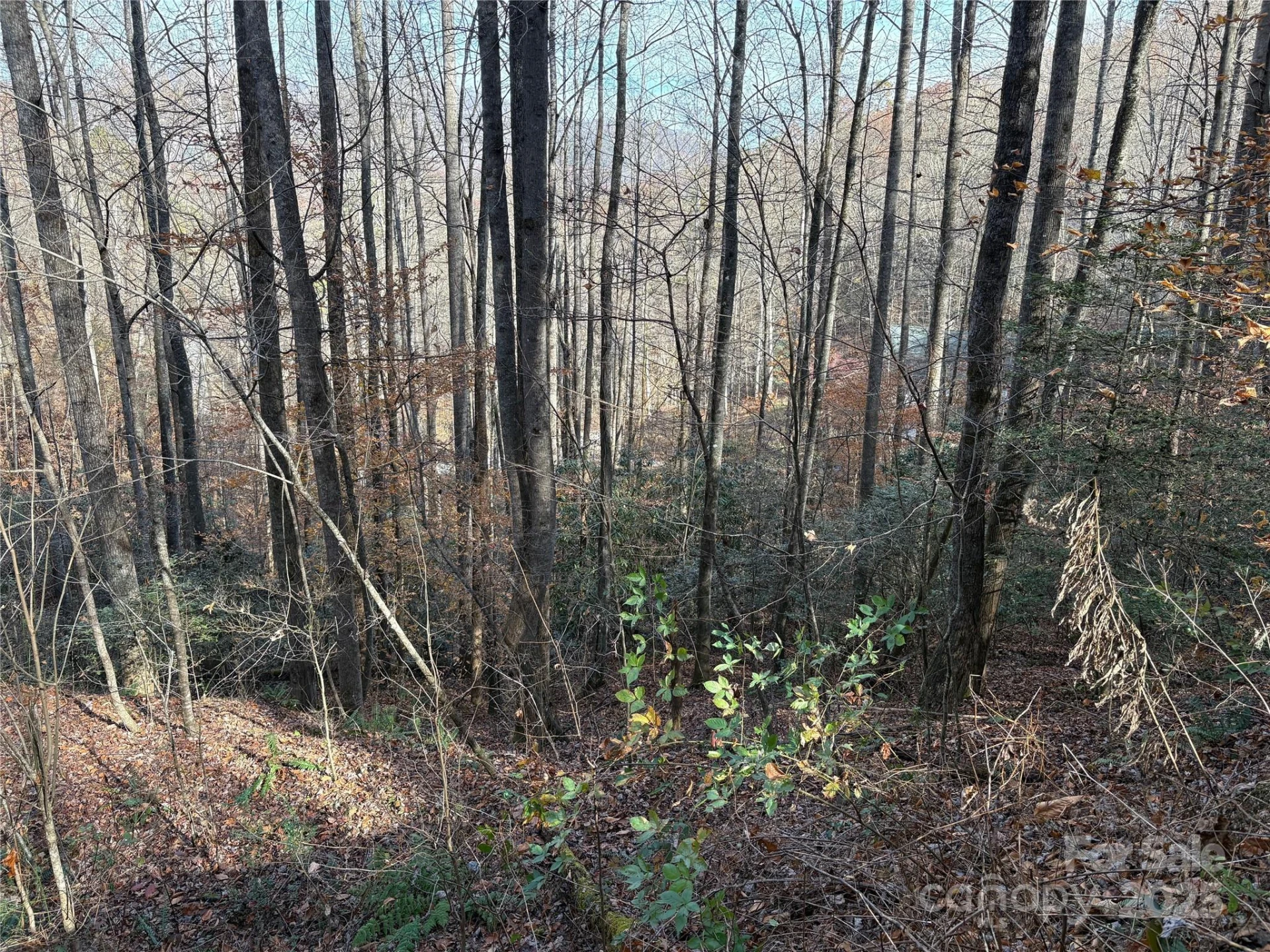 TR 6 Little Bit Trail - Photo 20