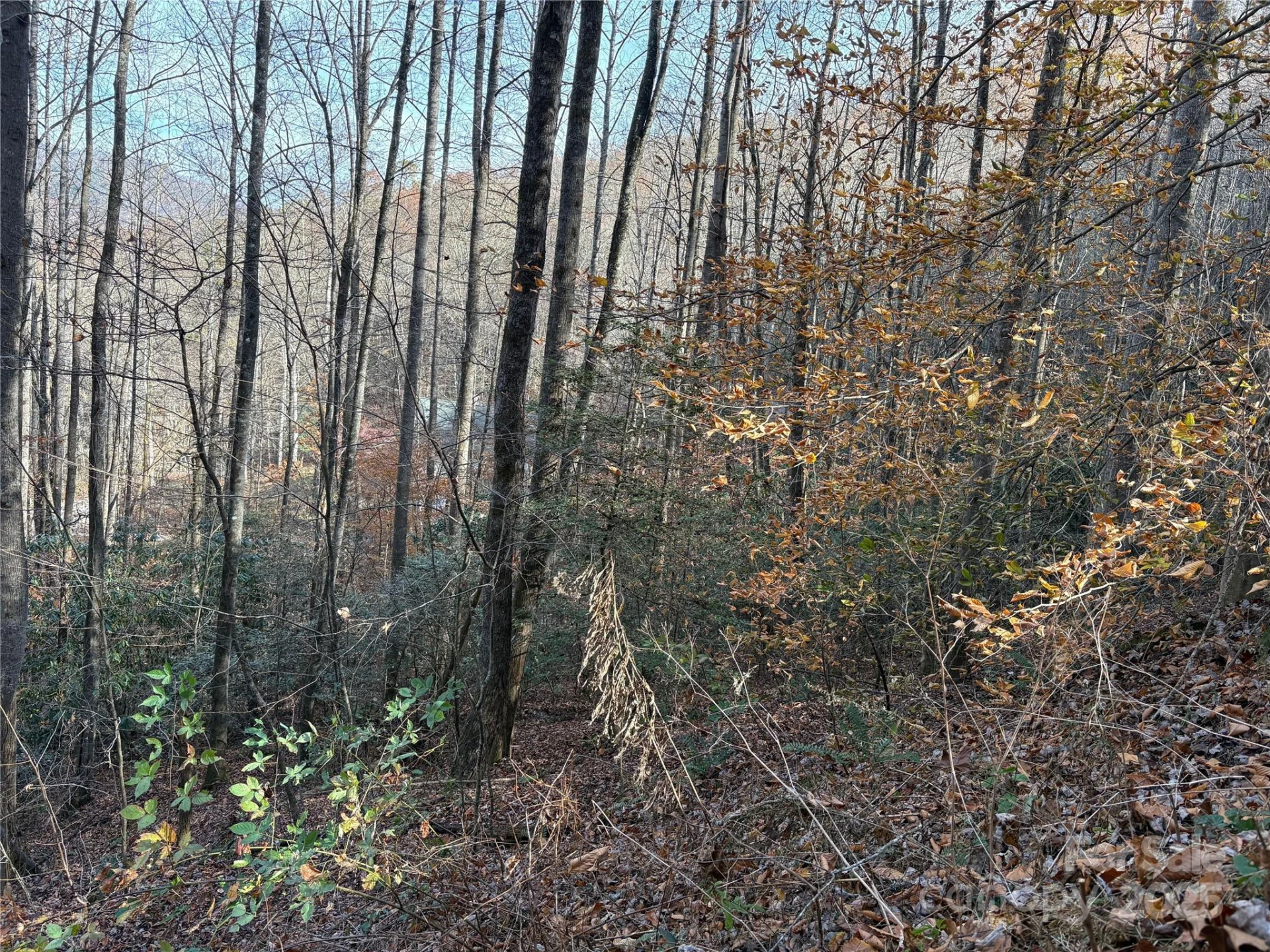 TR 6 Little Bit Trail - Photo 21