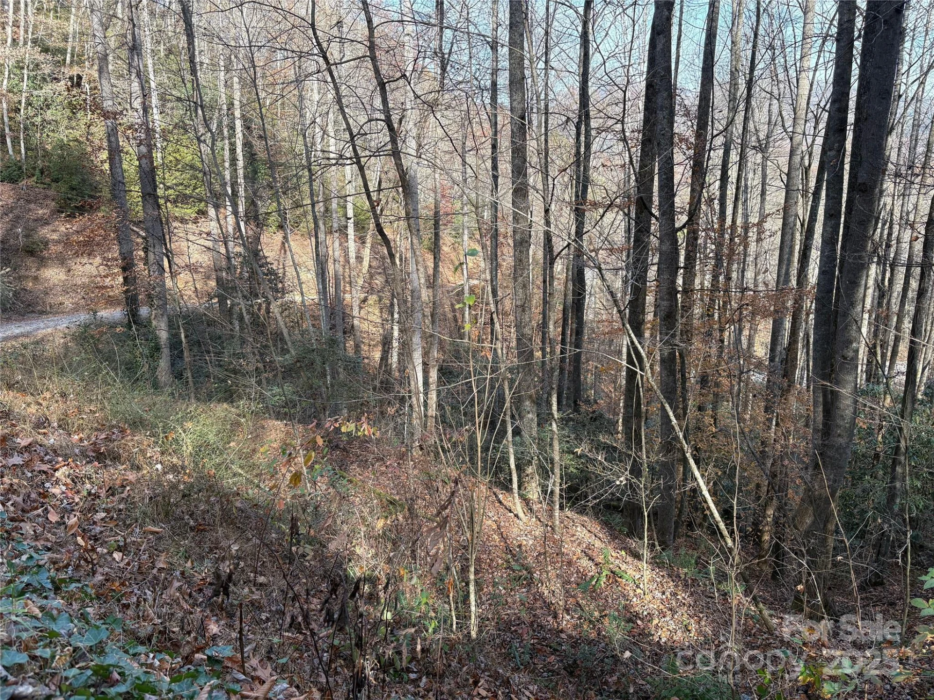 TR 6 Little Bit Trail - Photo 22