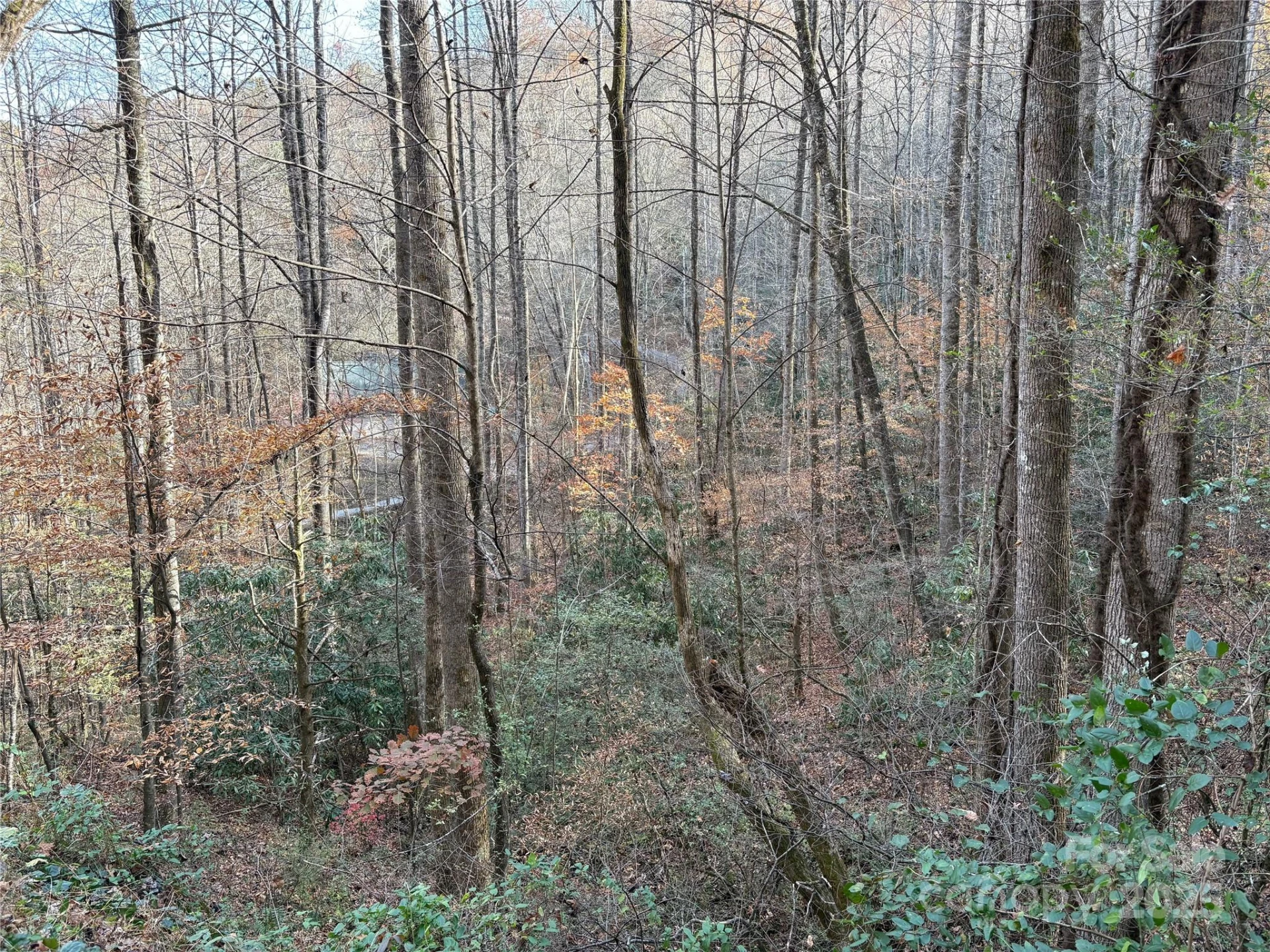 TR 6 Little Bit Trail - Photo 23