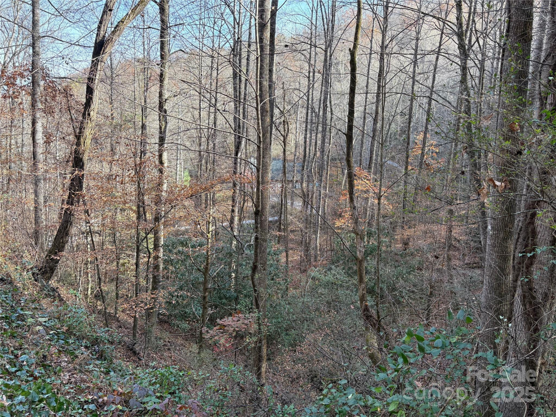 TR 6 Little Bit Trail - Photo 24