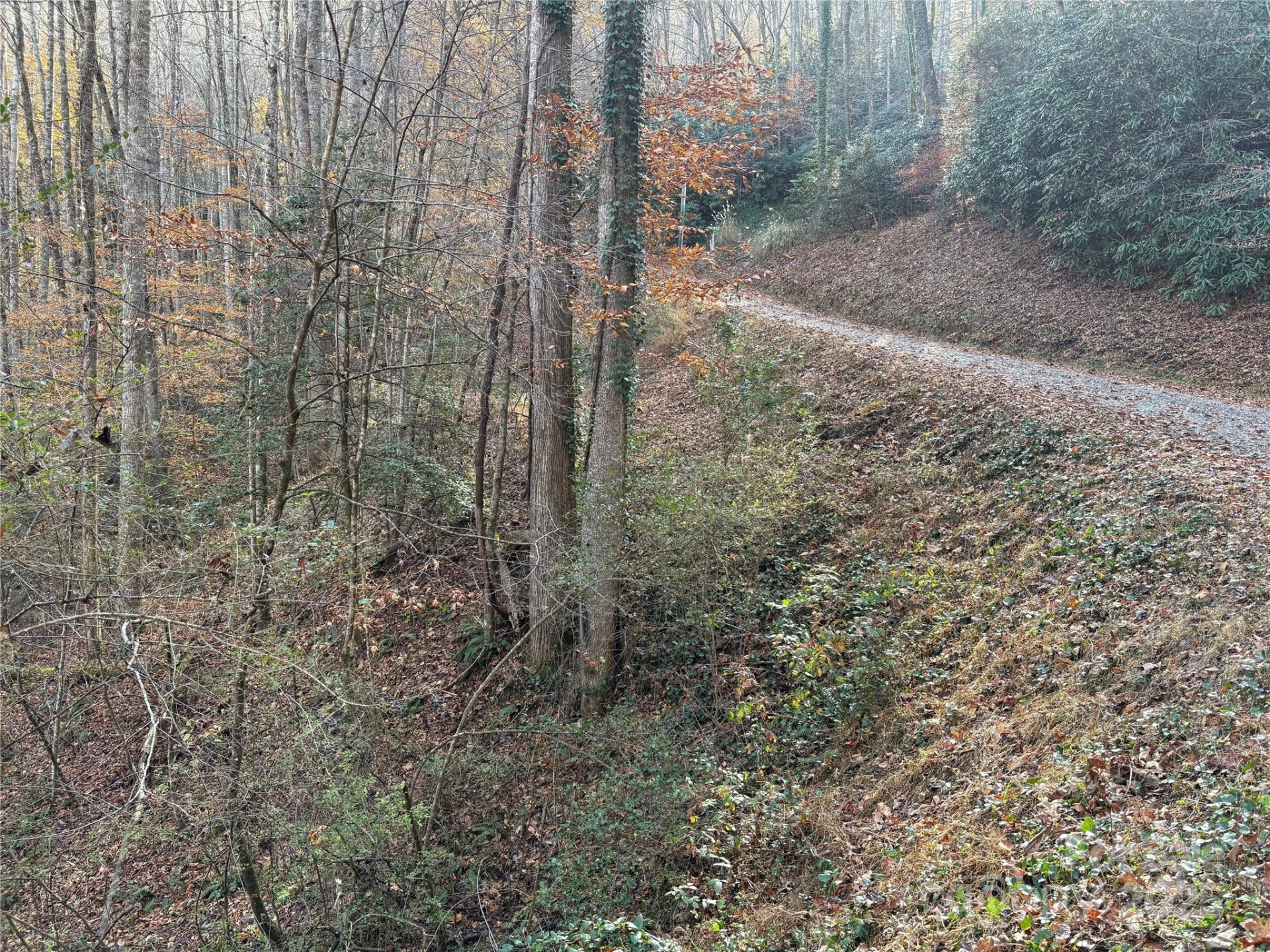 TR 6 Little Bit Trail - Photo 25