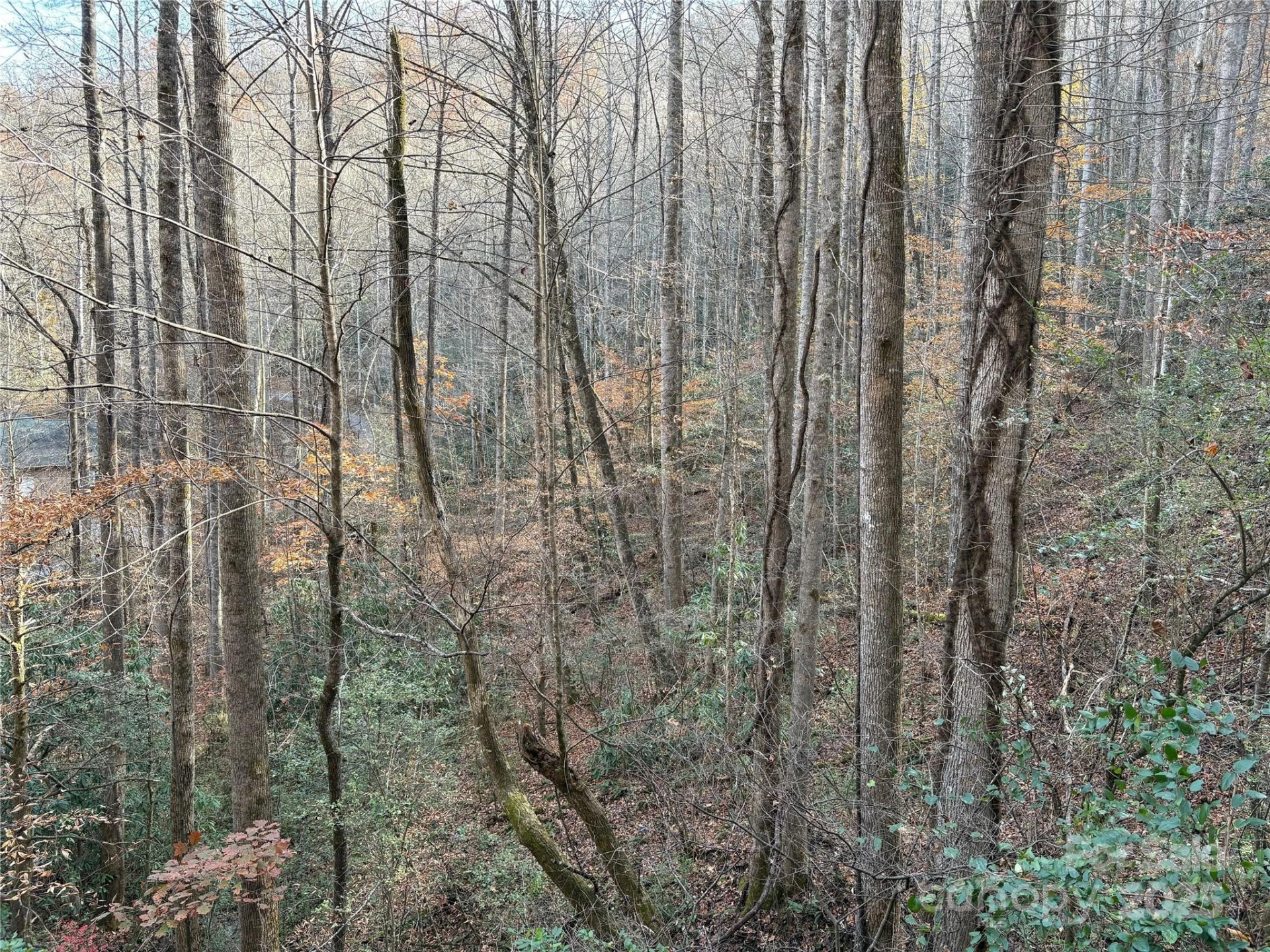 TR 6 Little Bit Trail - Photo 26