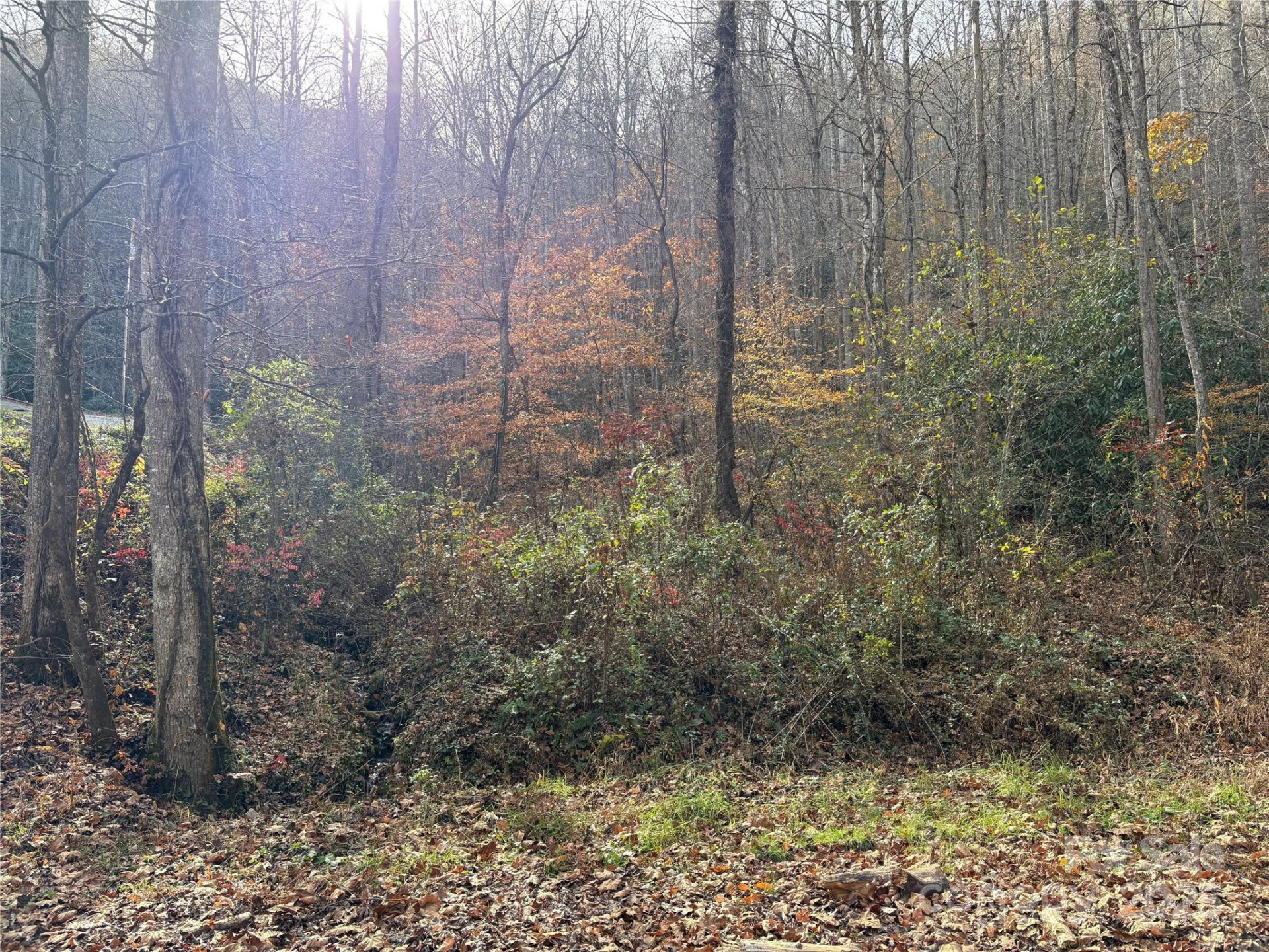 TR 6 Little Bit Trail - Photo 4