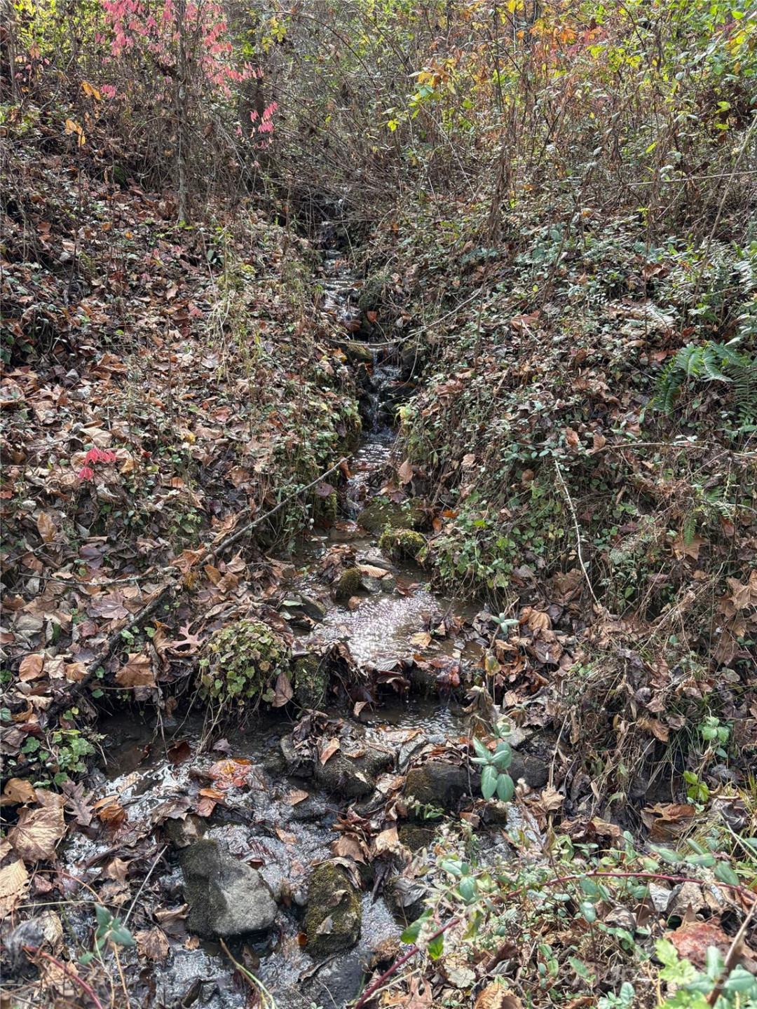 TR 6 Little Bit Trail - Photo 5