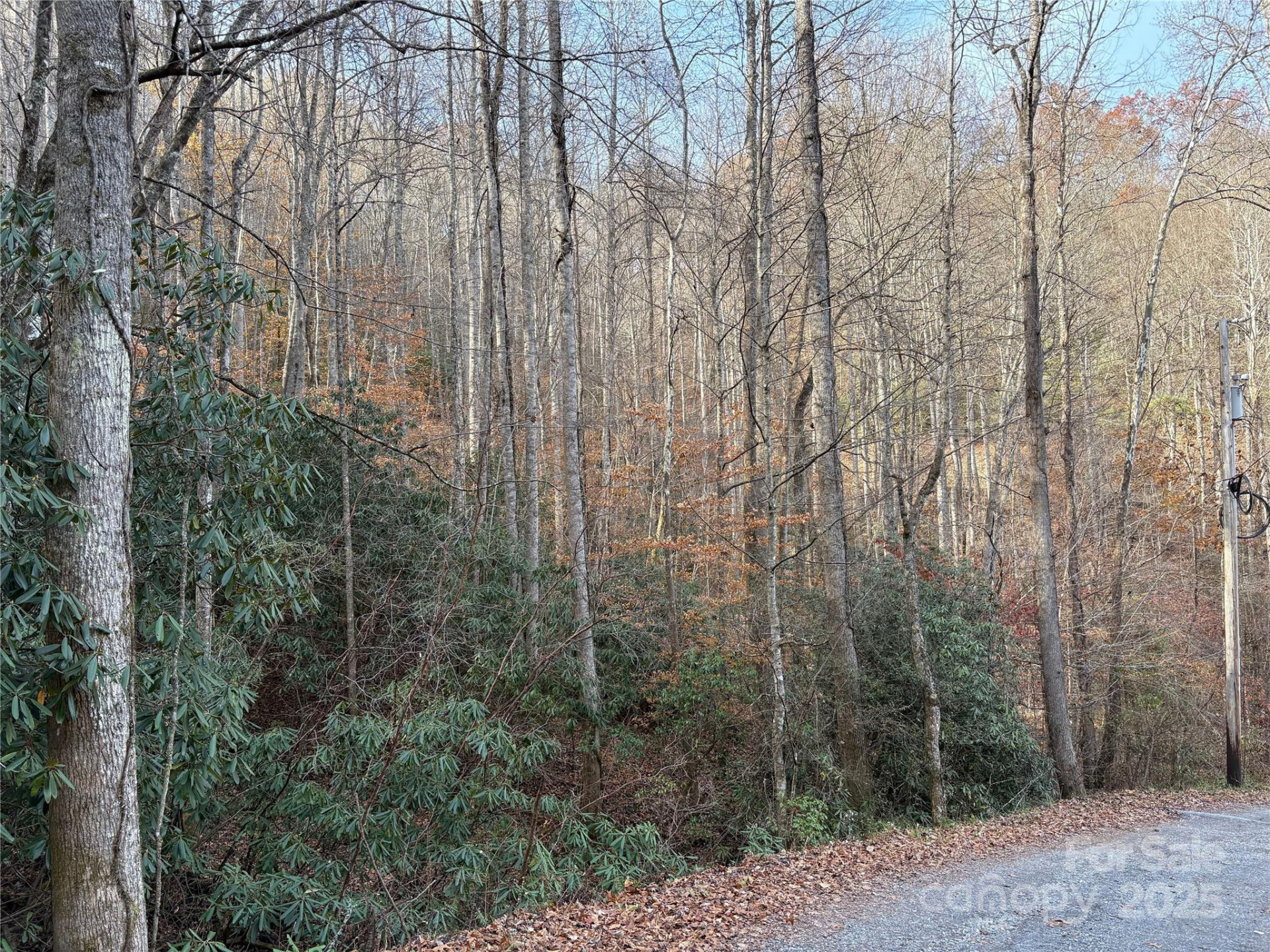 TR 6 Little Bit Trail - Photo 7