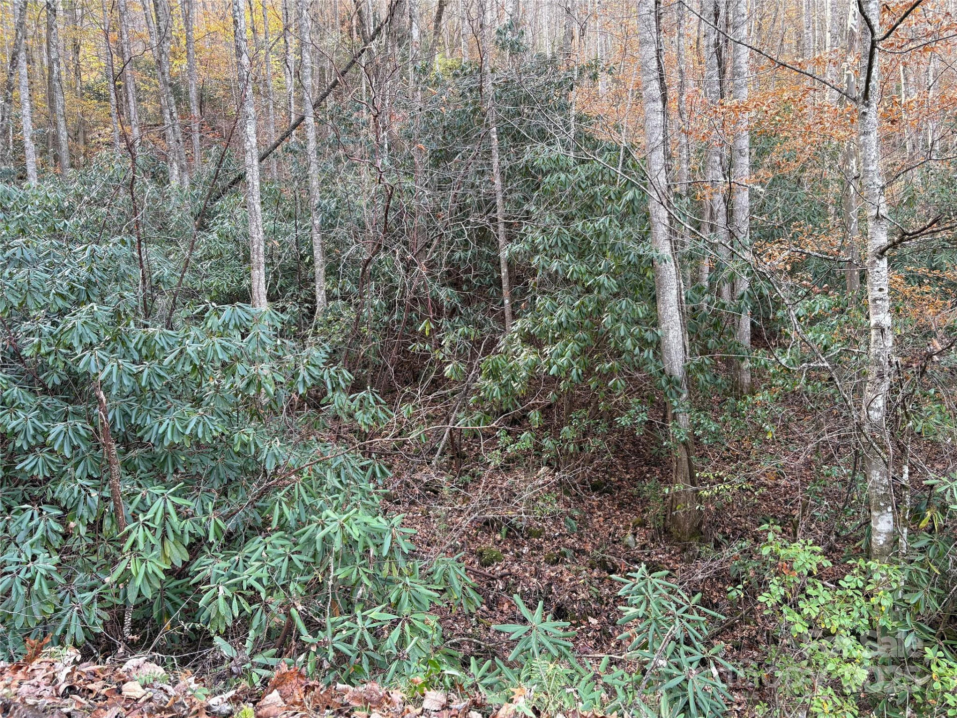 TR 6 Little Bit Trail - Photo 8