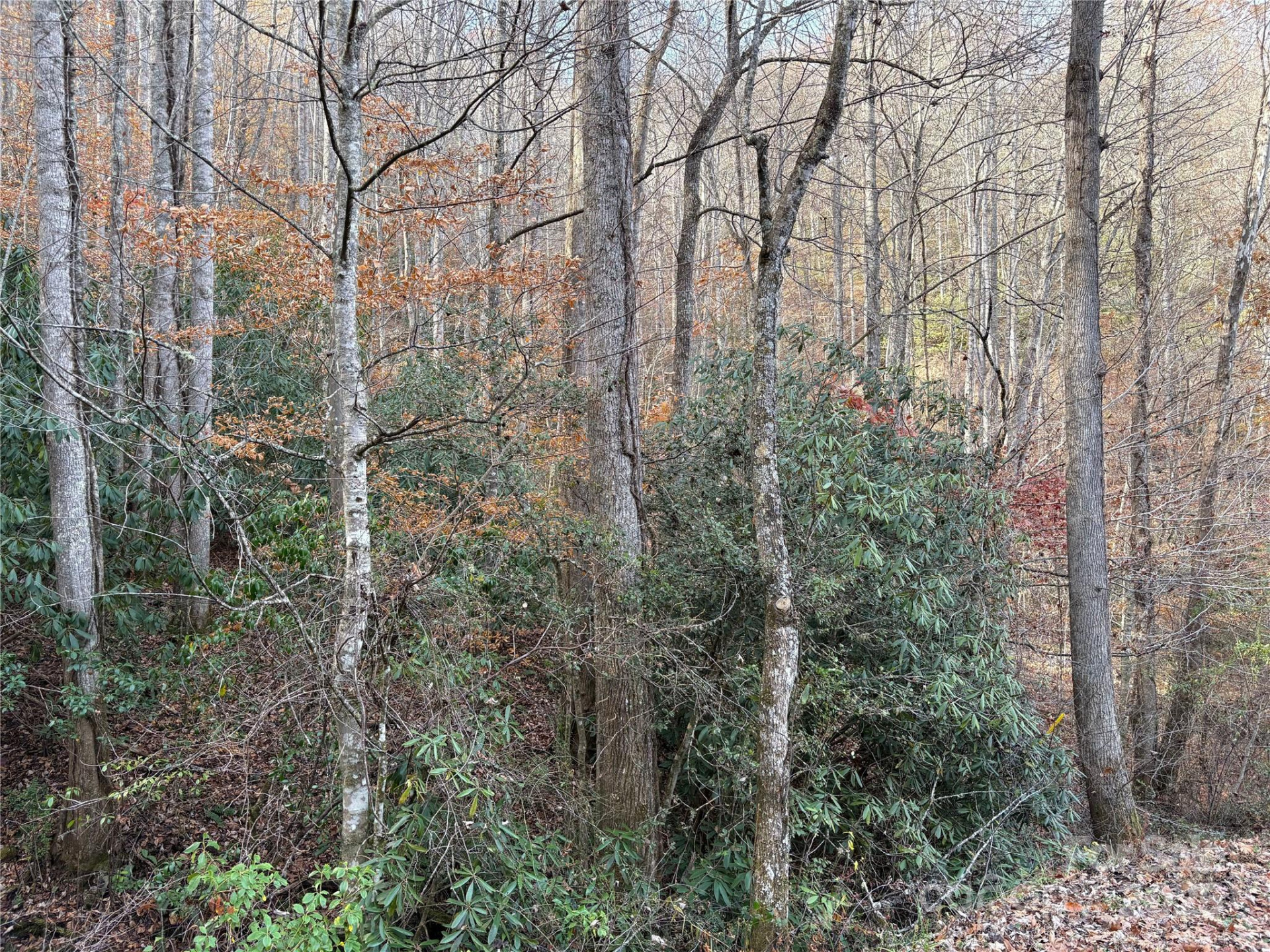 TR 6 Little Bit Trail - Photo 9