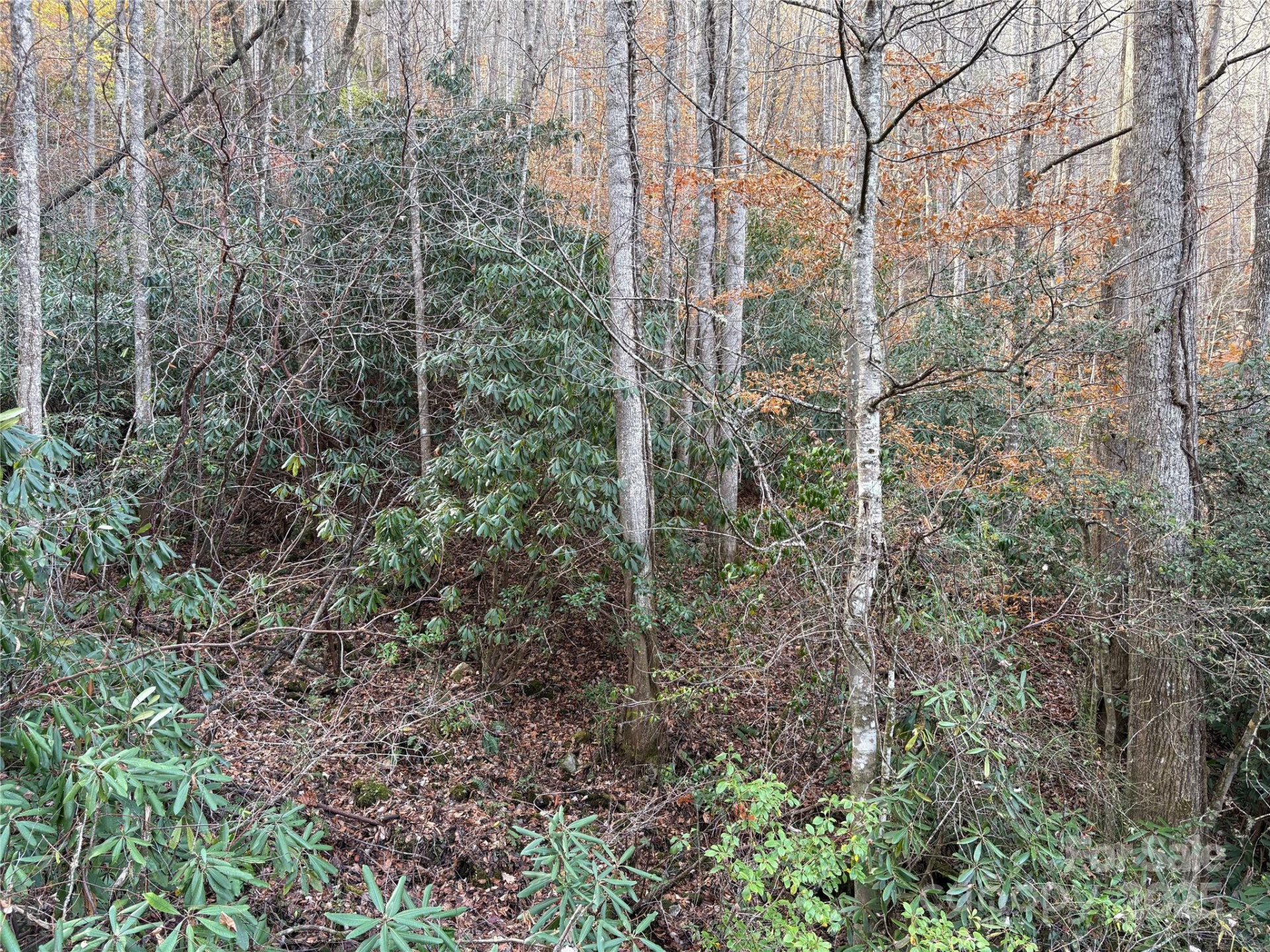 TR 6 Little Bit Trail - Photo 10