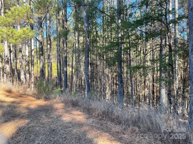 109 Shortoff Trail, Valdese, NC, 28655