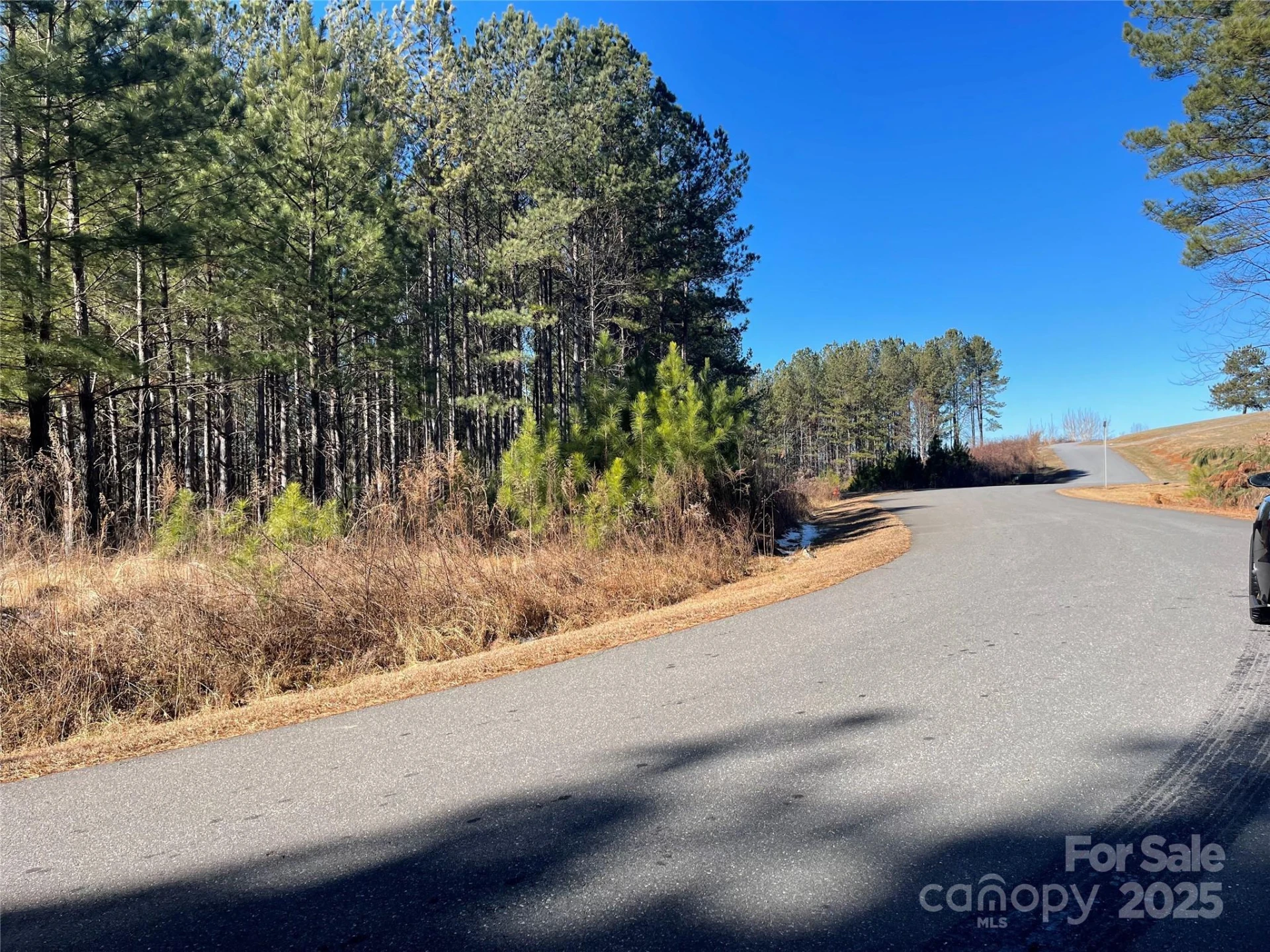 109 Shortoff Trail - Photo 2