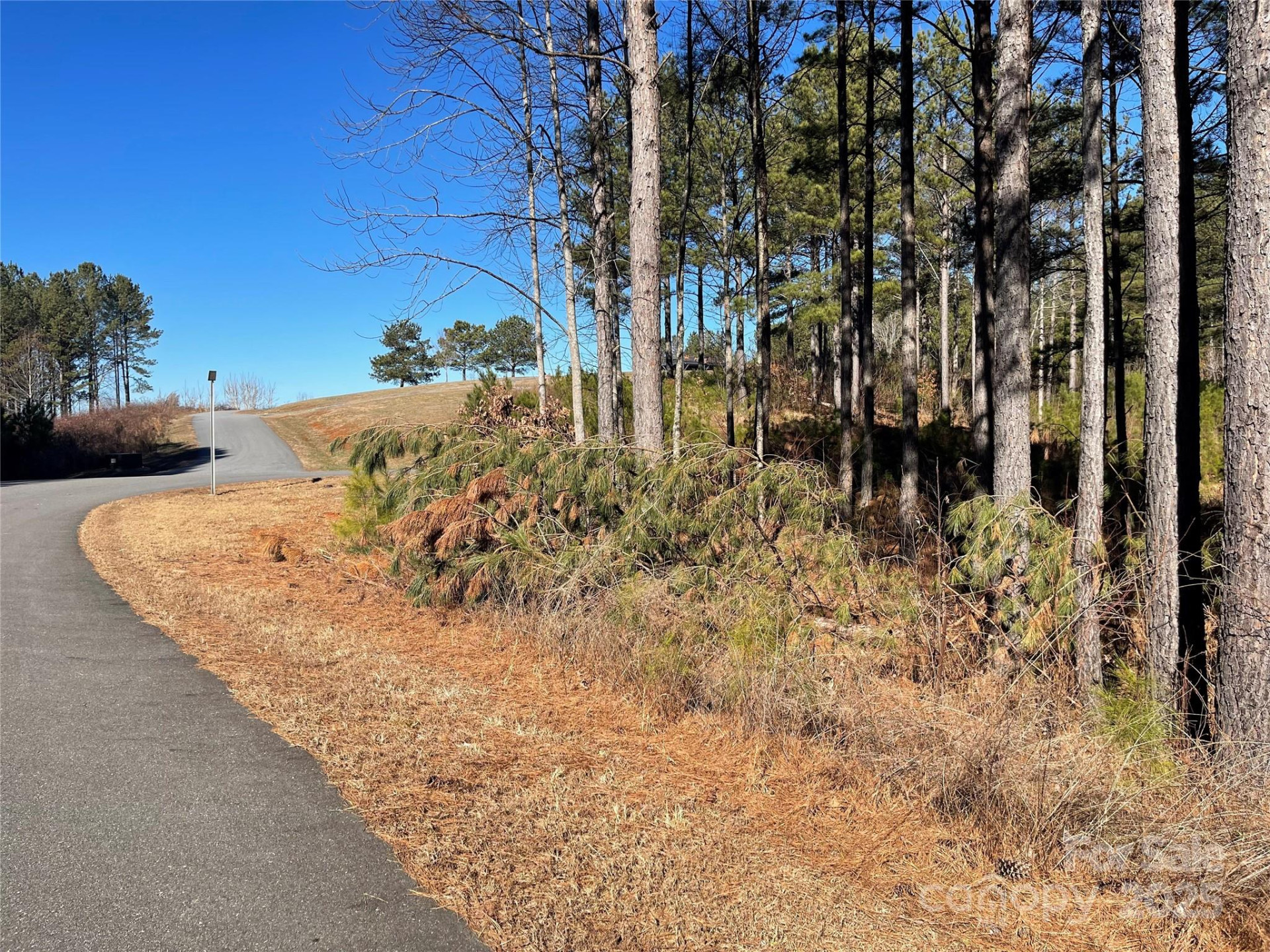 109 Shortoff Trail - Photo 11