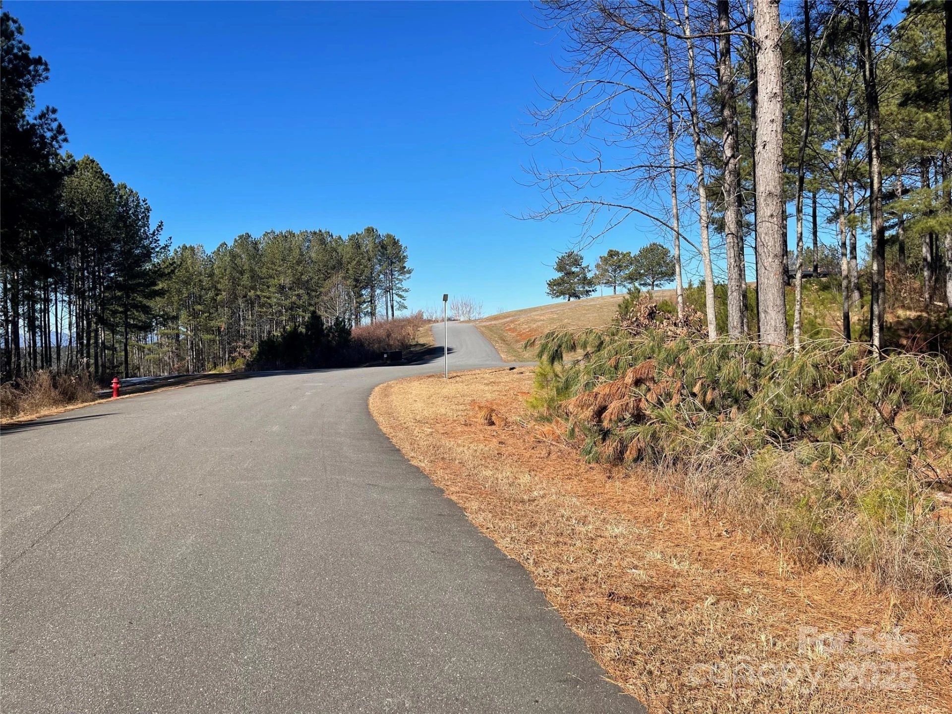 109 Shortoff Trail - Photo 12
