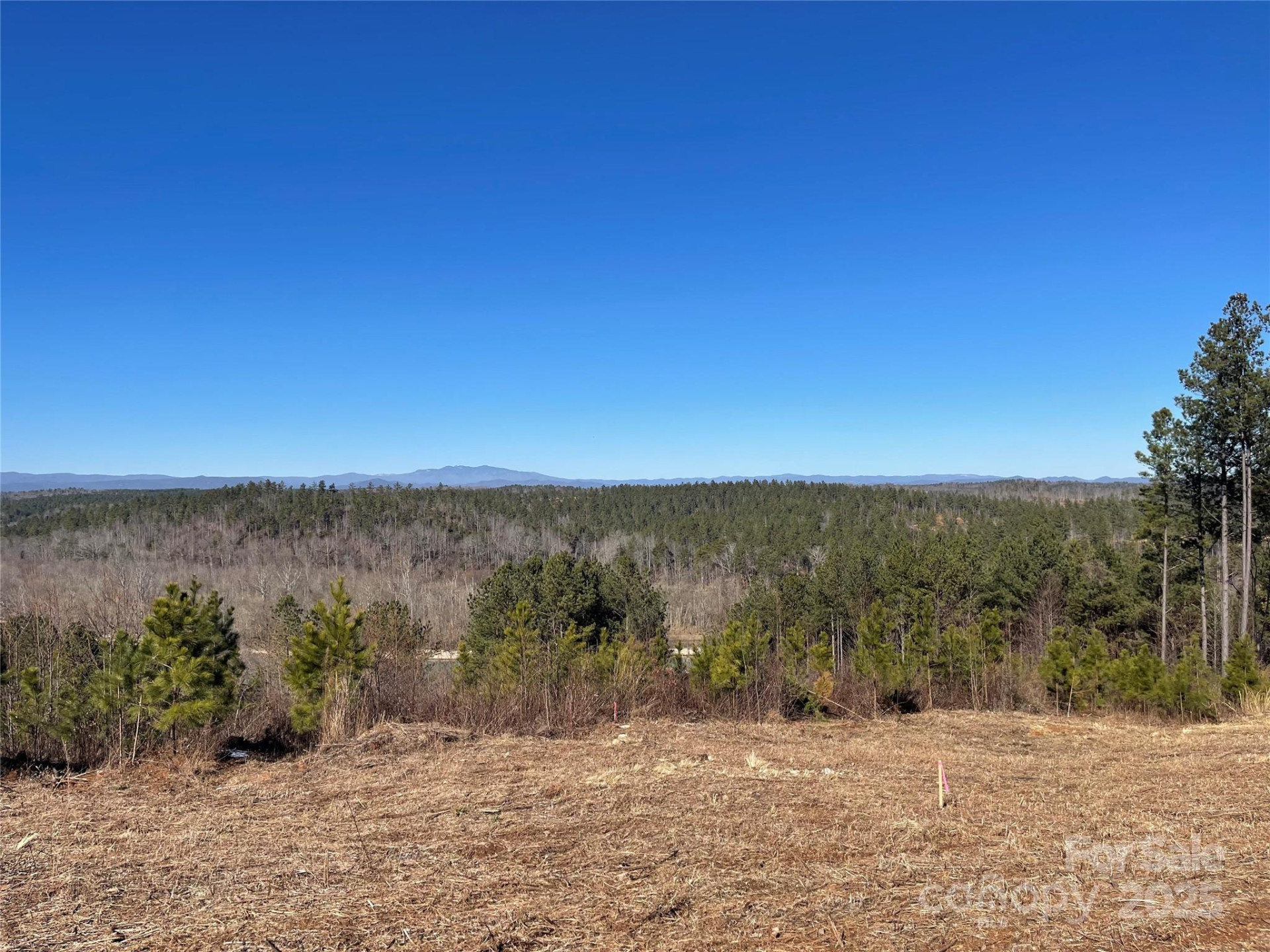 109 Shortoff Trail - Photo 14