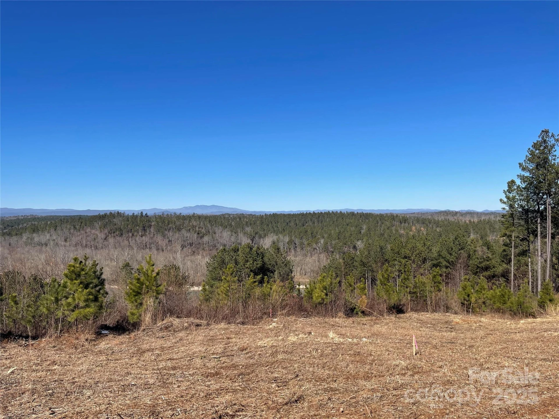 109 Shortoff Trail - Photo 14