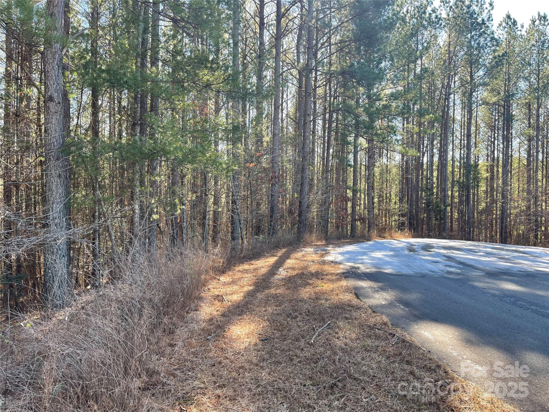 109 Shortoff Trail - Photo 4