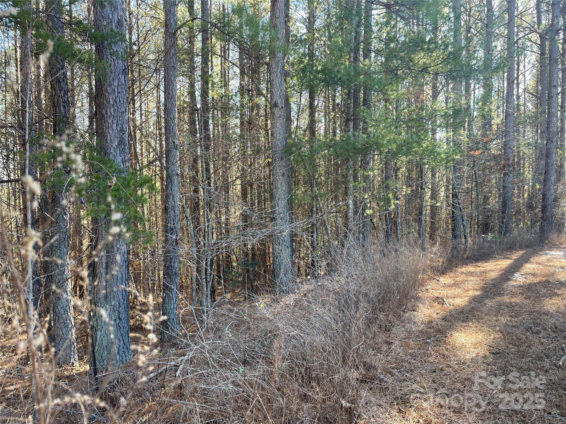 109 Shortoff Trail - Photo 5