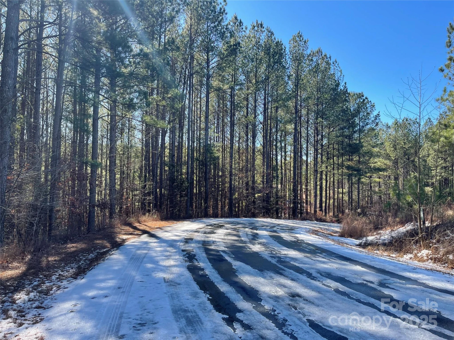 109 Shortoff Trail - Photo 6