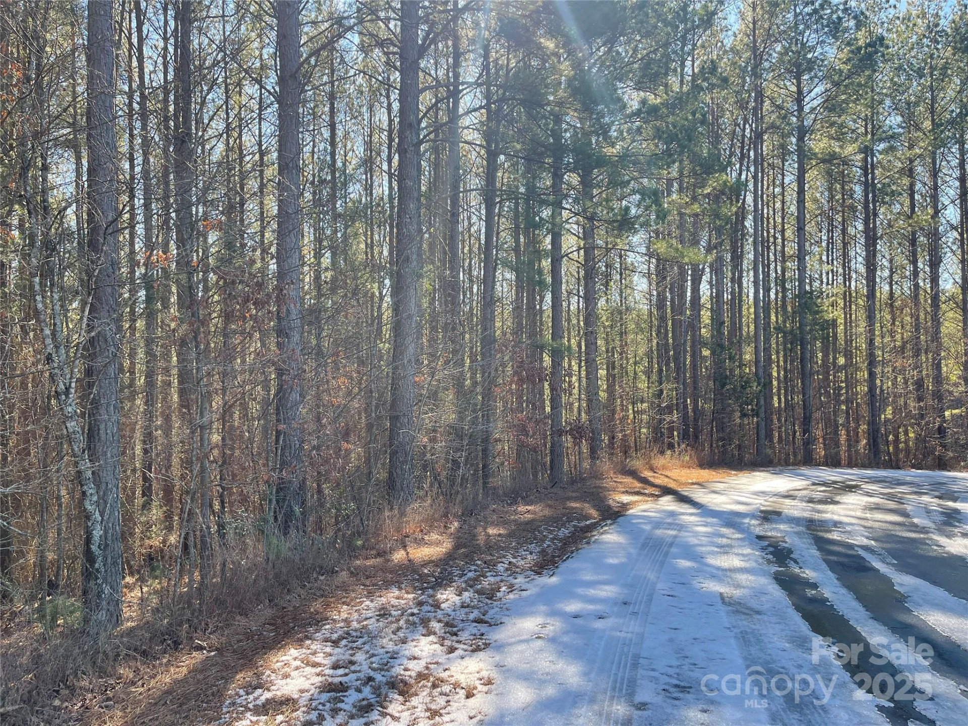 109 Shortoff Trail - Photo 7