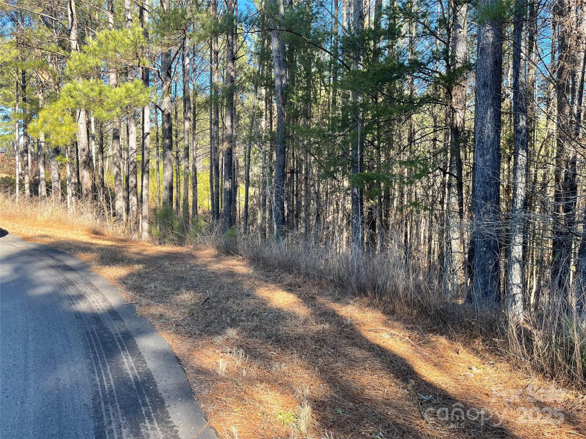 109 Shortoff Trail - Photo 9