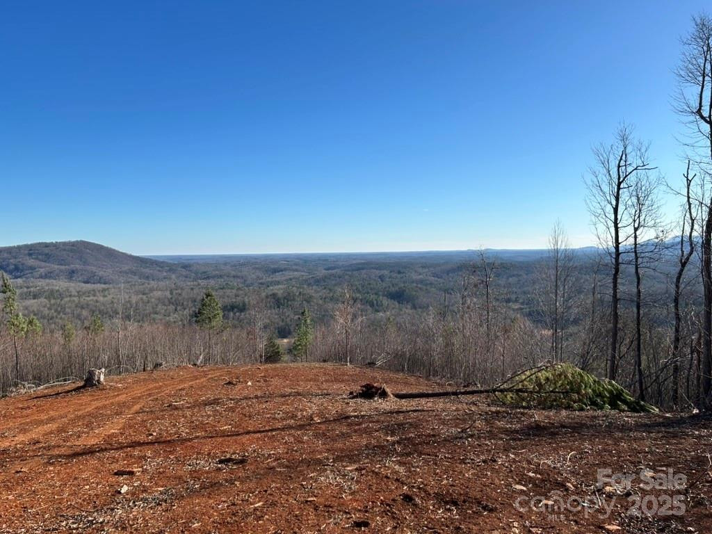 0 Cove Road - Photo 11