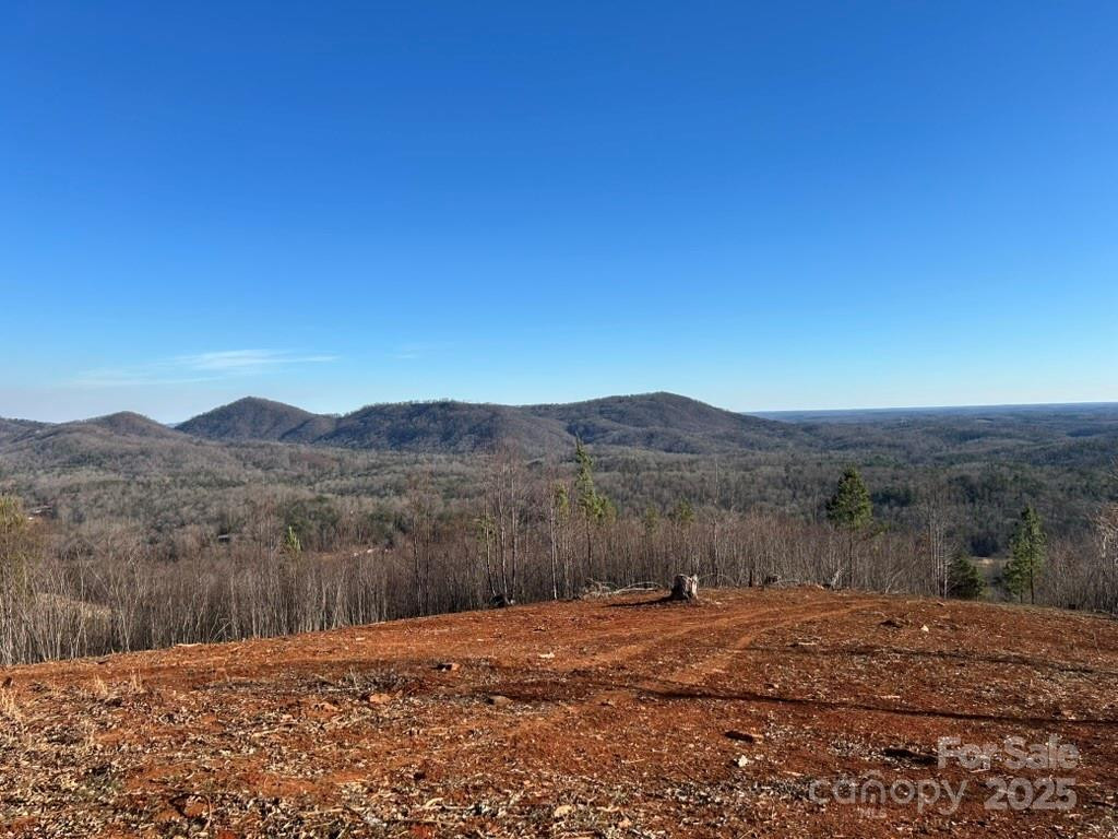 0 Cove Road - Photo 12