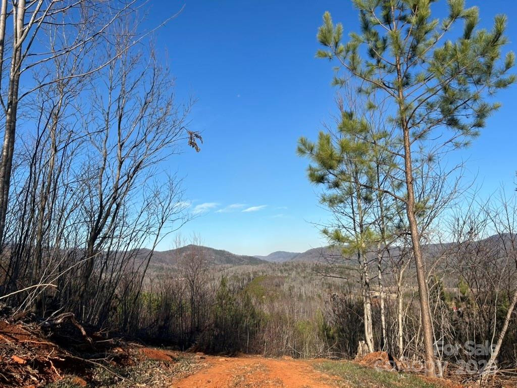 0 Cove Road - Photo 14