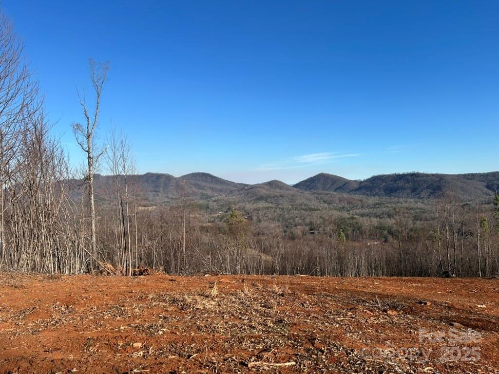 0 Cove Road - Photo 3