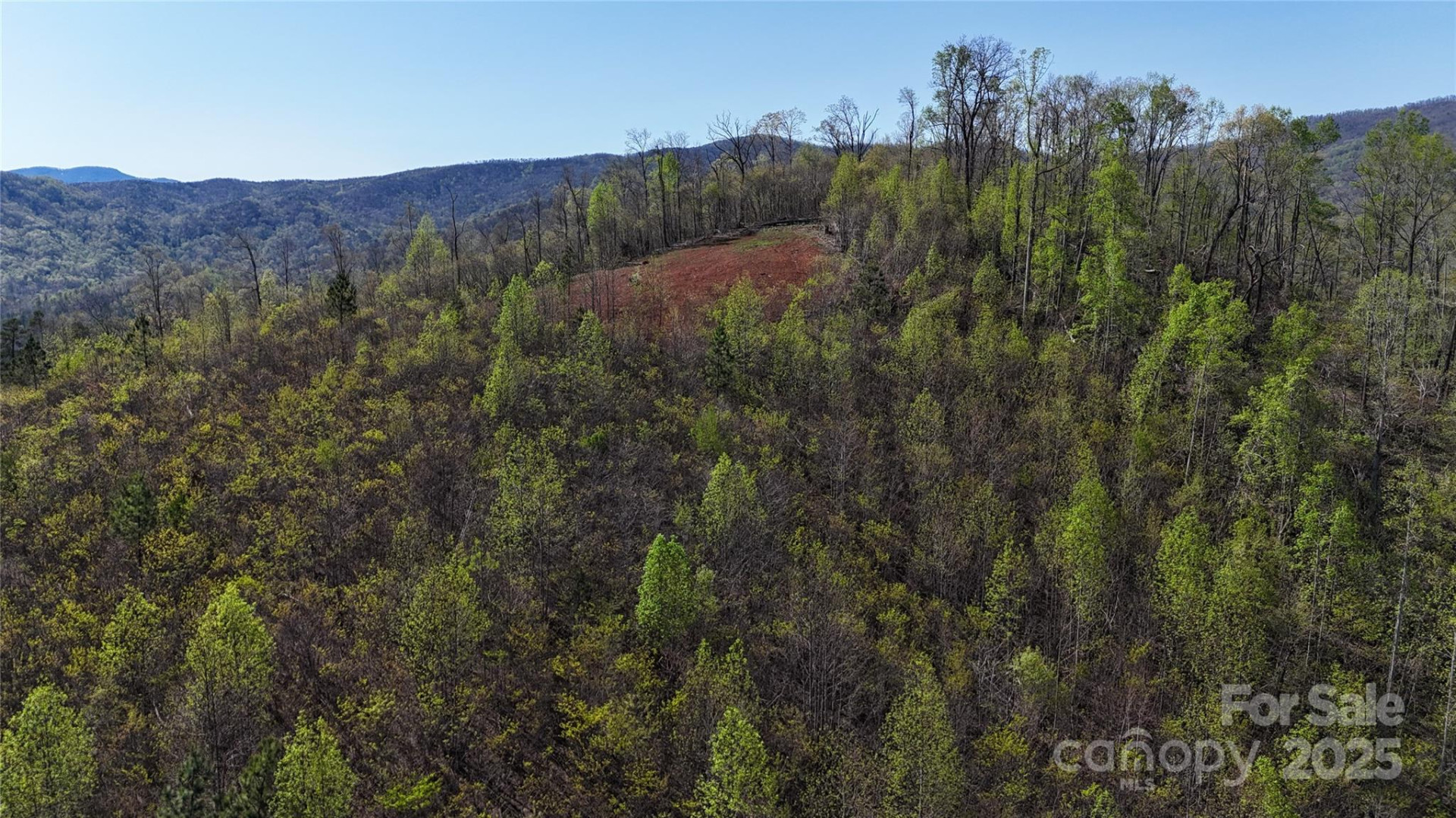 0 Cove Road - Photo 5