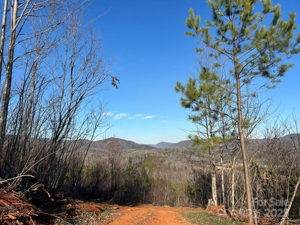 0 Cove Road - Photo 7