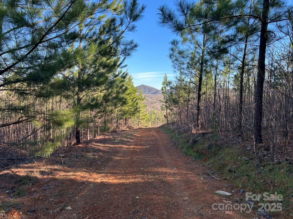 0 Cove Road - Photo 8