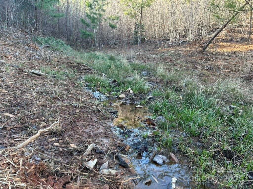 0 Cove Road - Photo 9