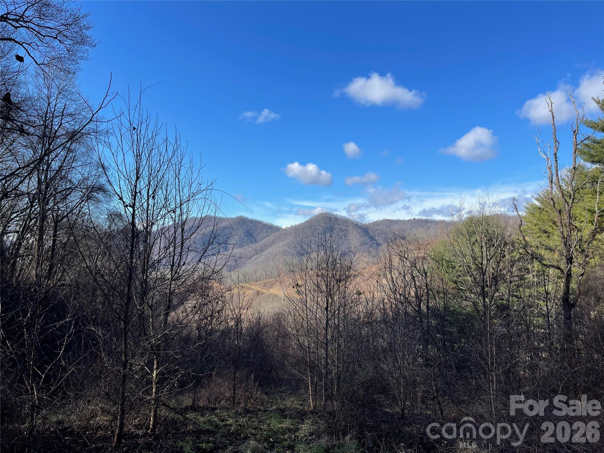 00 Wilson Cove Road - Photo 11