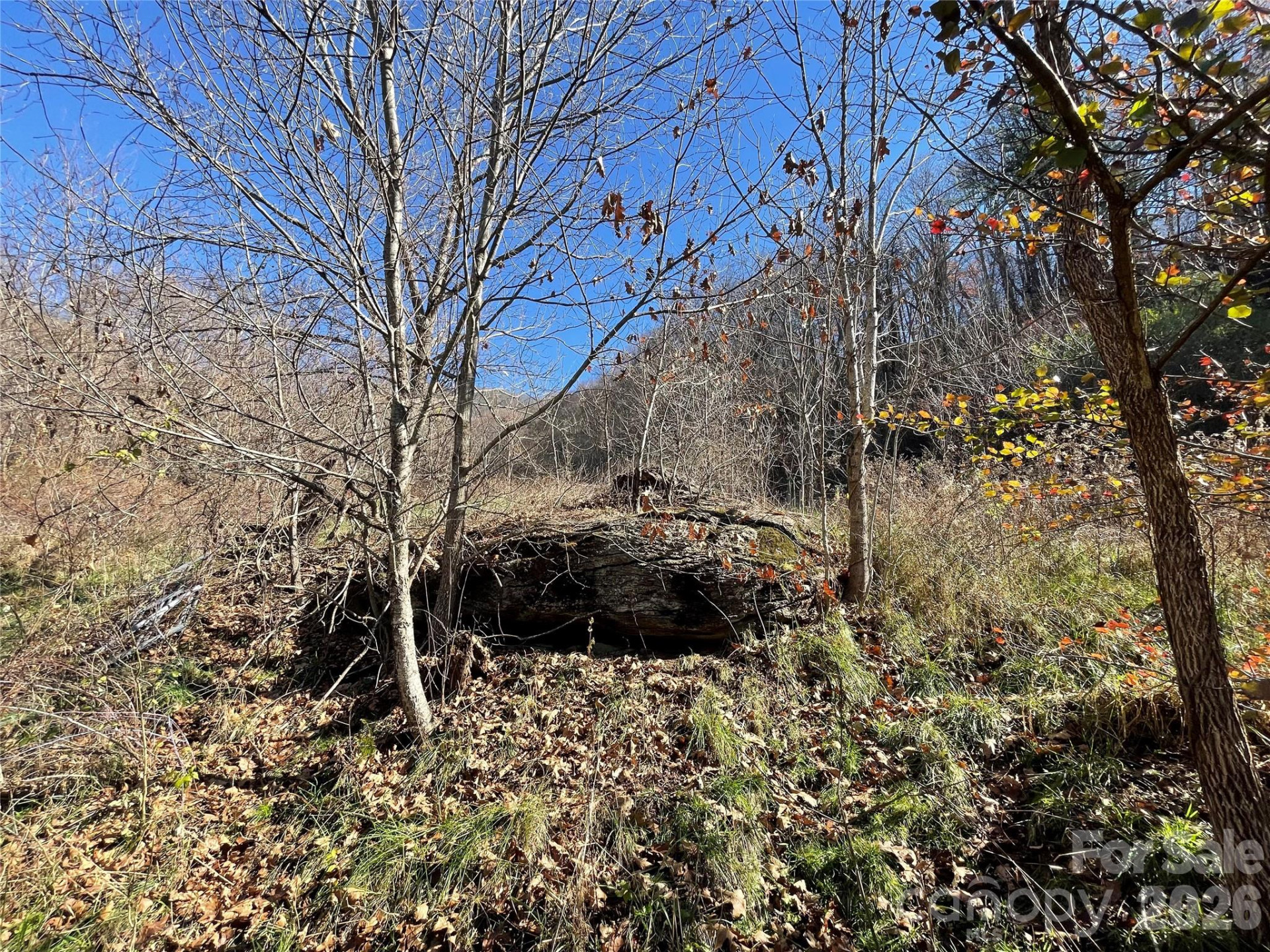 00 Wilson Cove Road - Photo 18