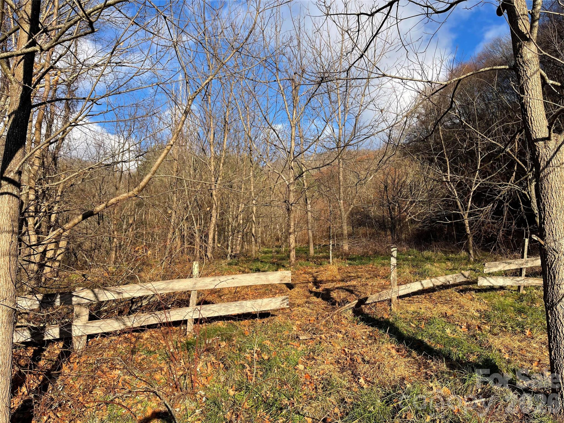 00 Wilson Cove Road - Photo 19