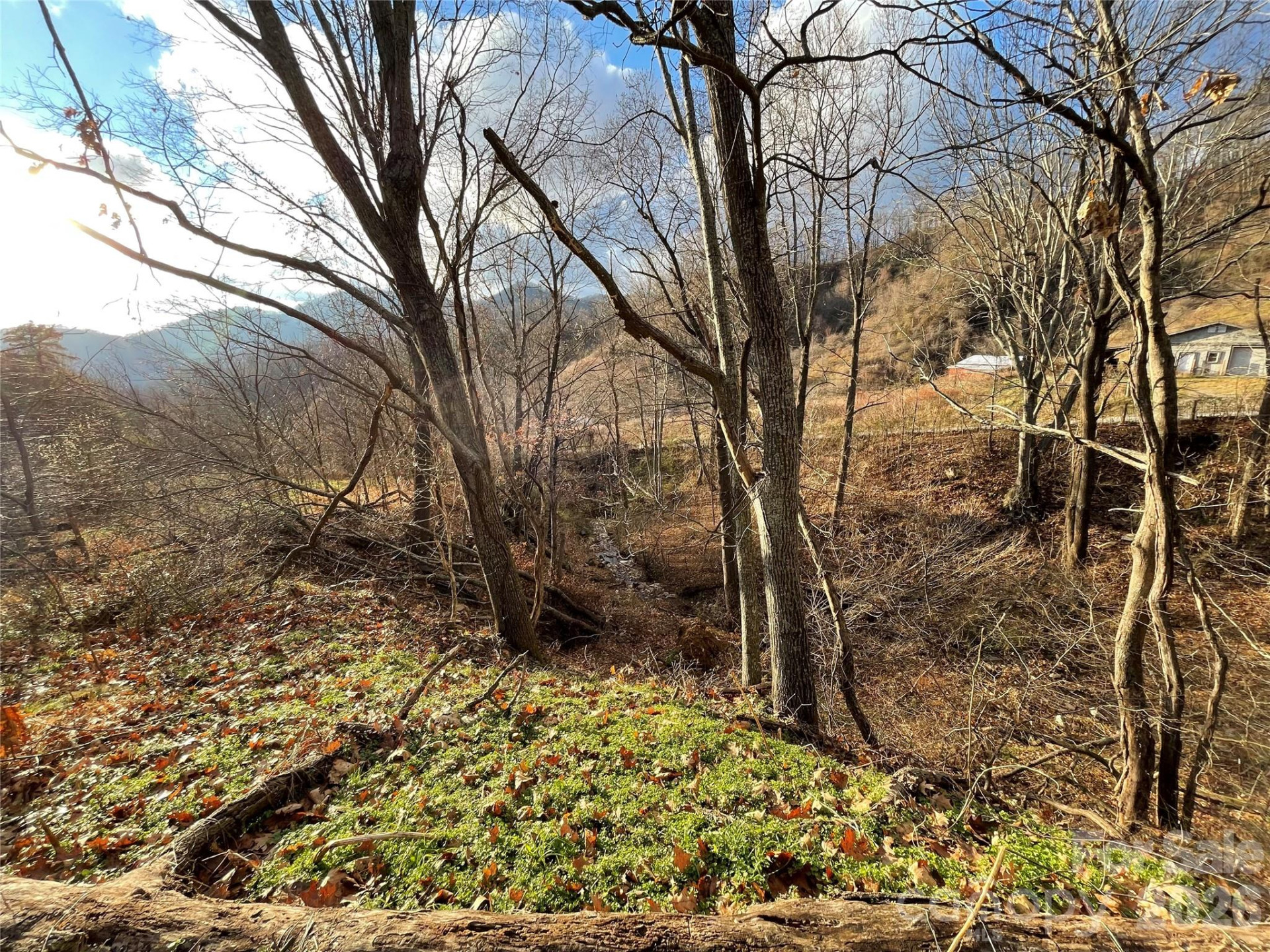 00 Wilson Cove Road - Photo 21