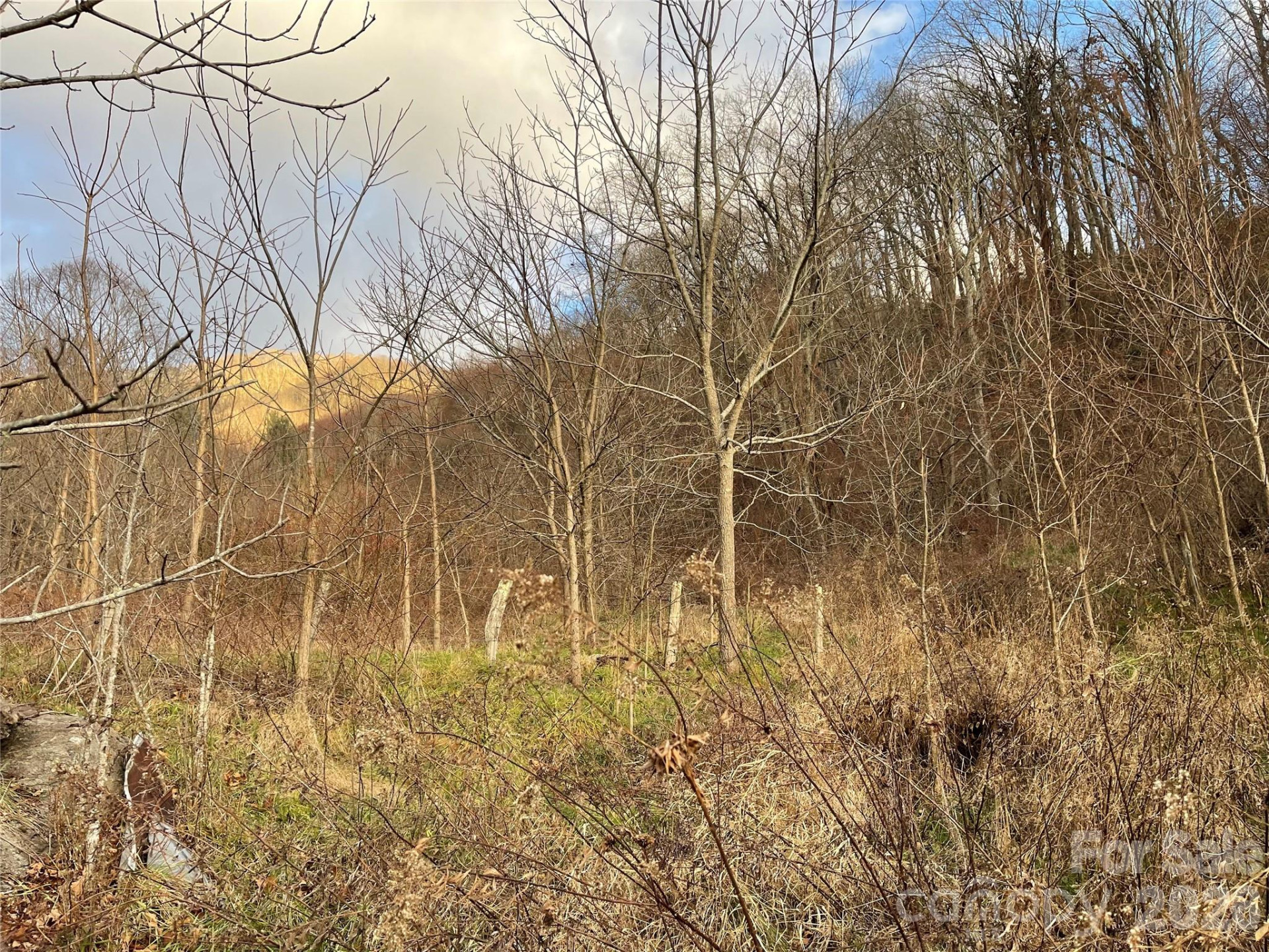 00 Wilson Cove Road - Photo 22