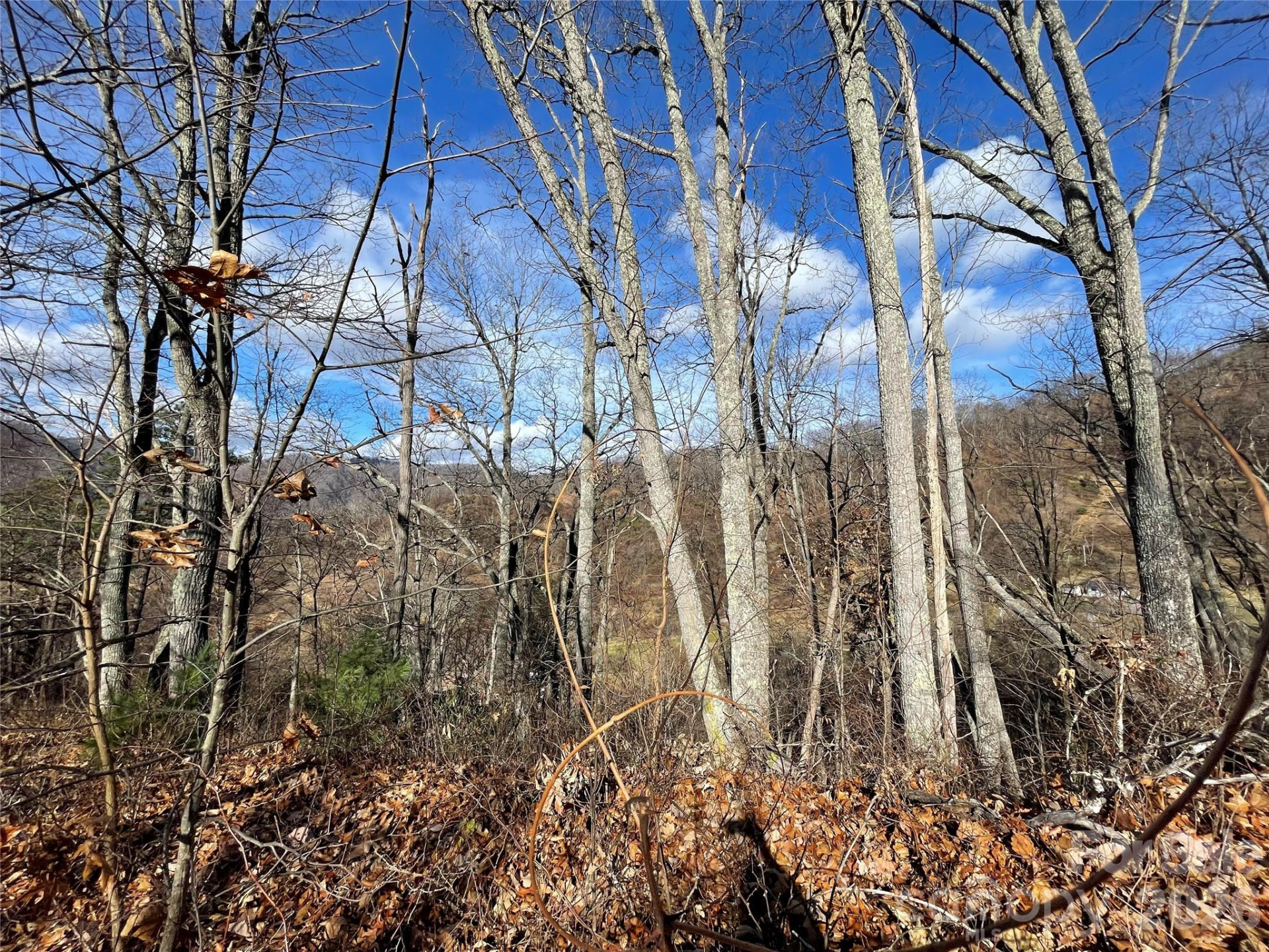 00 Wilson Cove Road - Photo 23